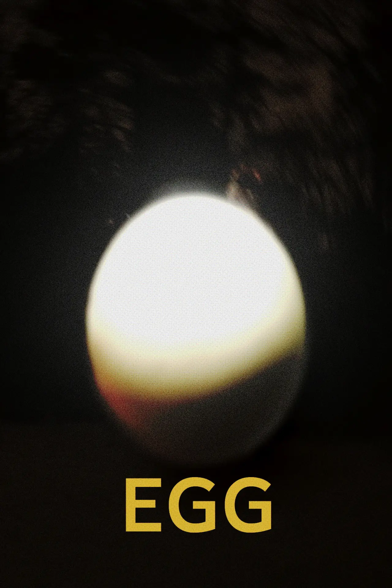Plakat filmowy "Ägg"