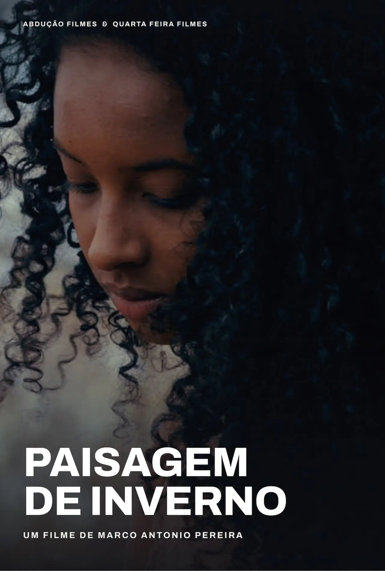 Plakat filmowy "Paisagem de Inverno"