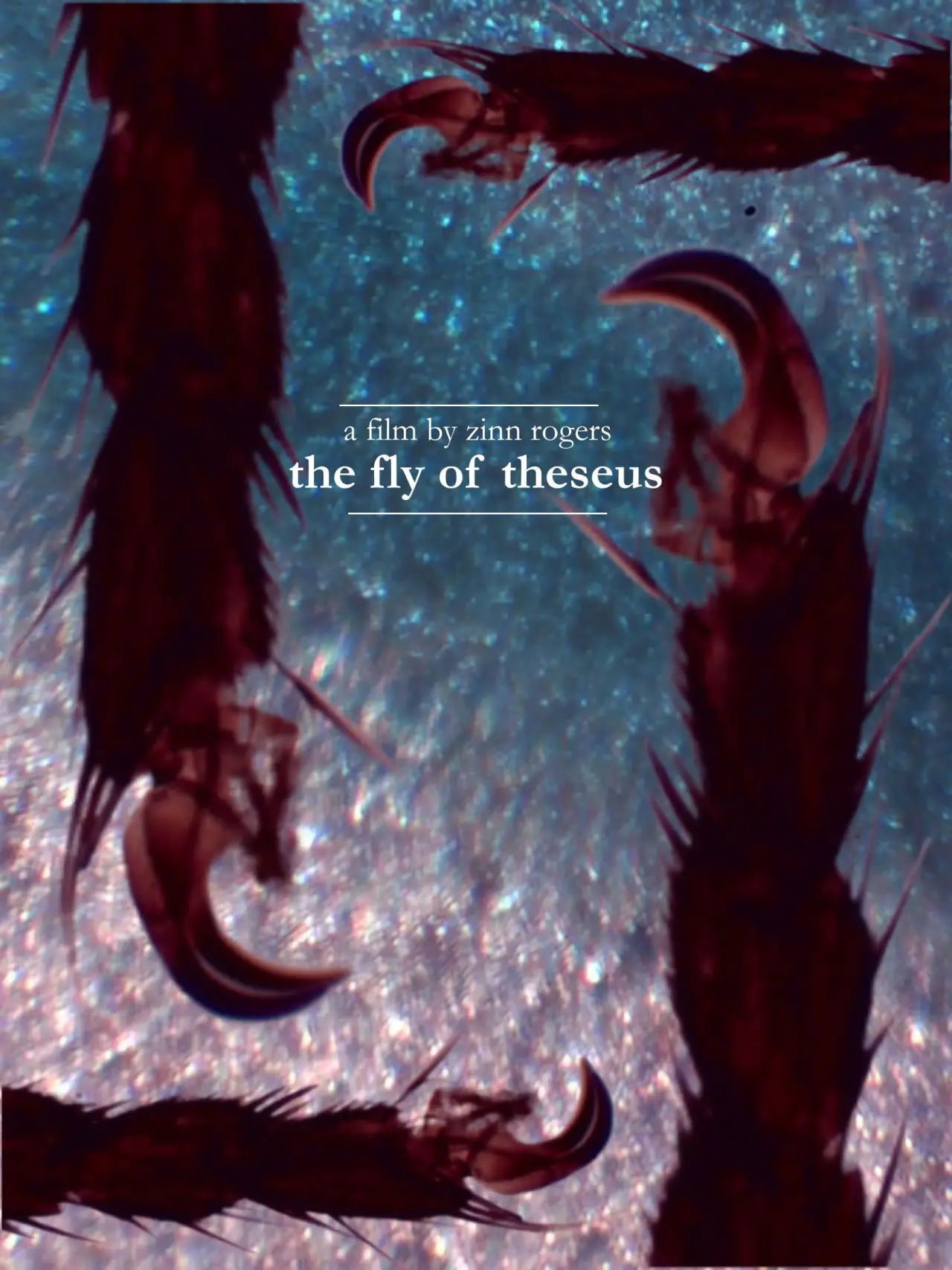 Plakat filmowy "The Fly of Theseus"