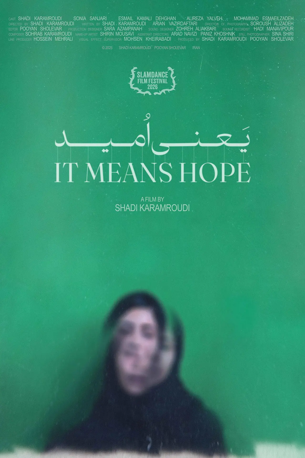 Plakat filmowy "It Means Hope"