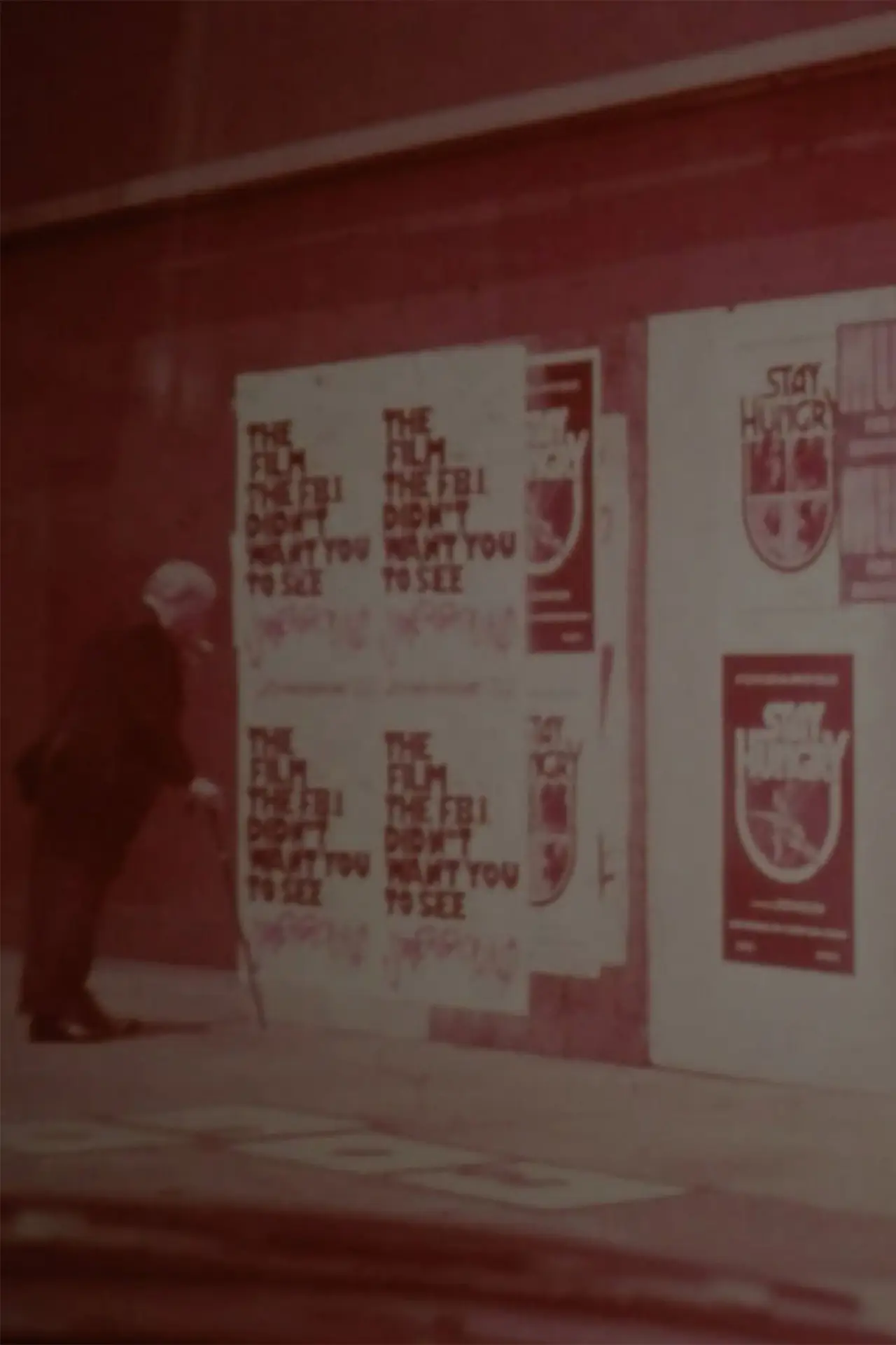 Plakat filmowy "Pinktoned"