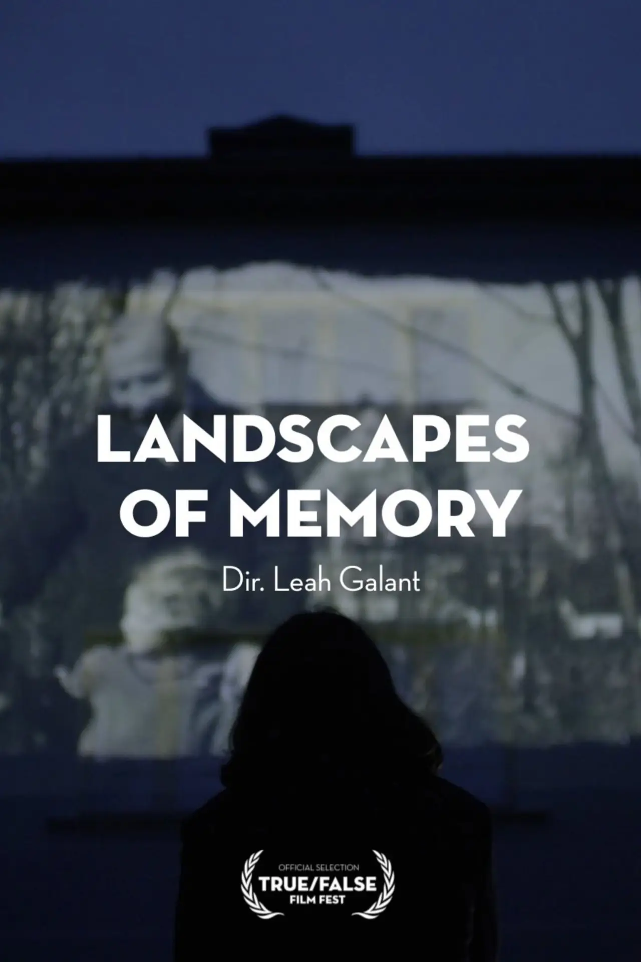 Plakat filmowy "Landscapes of Memory"