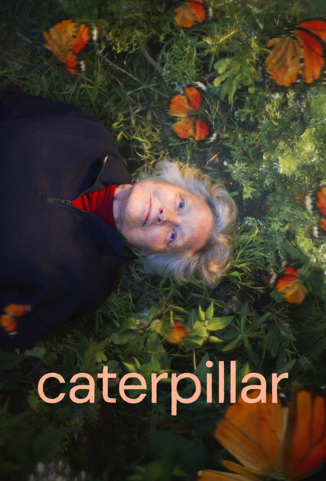 Plakat filmowy "Caterpillar"