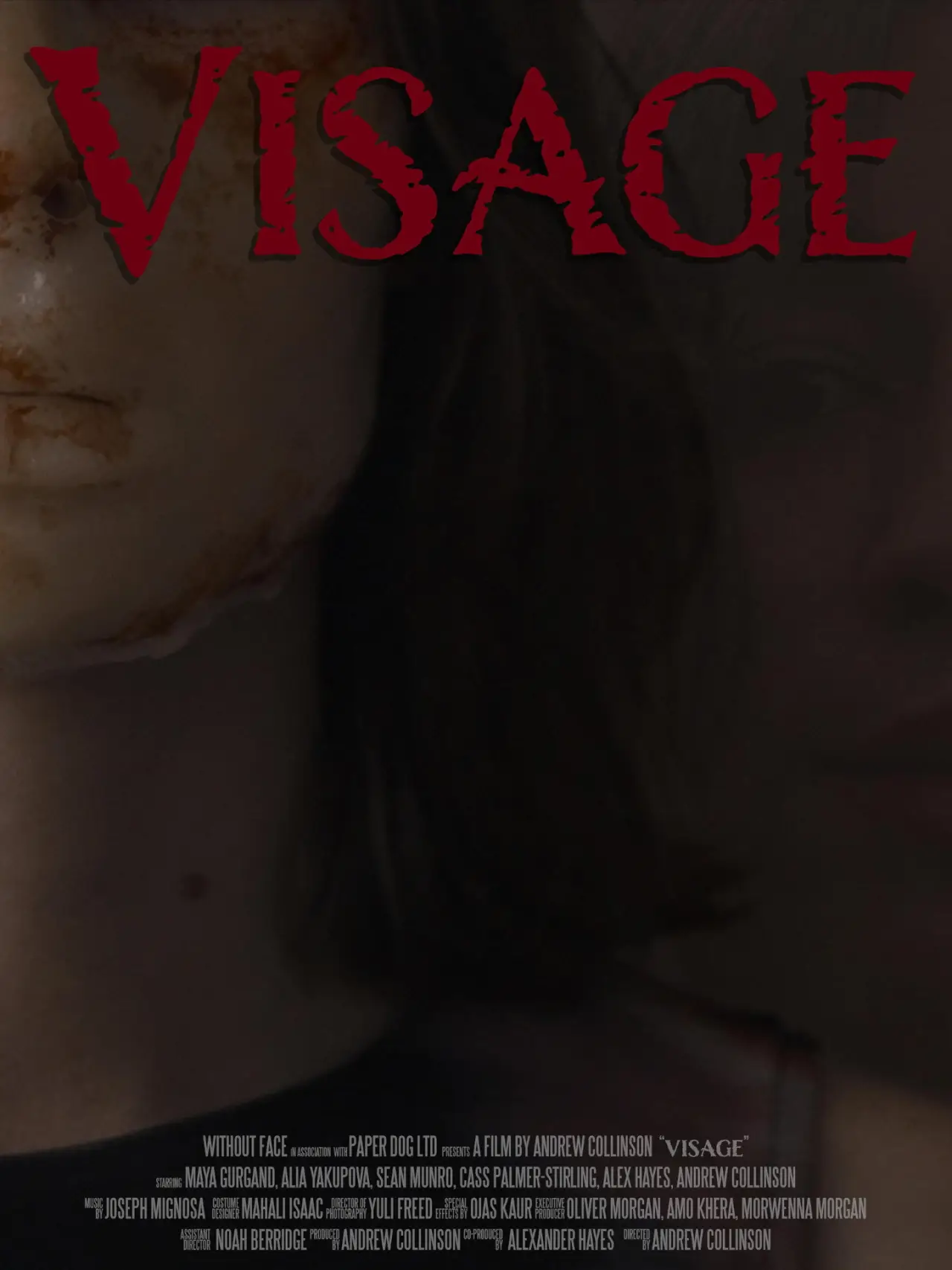 Plakat filmowy "Visage"