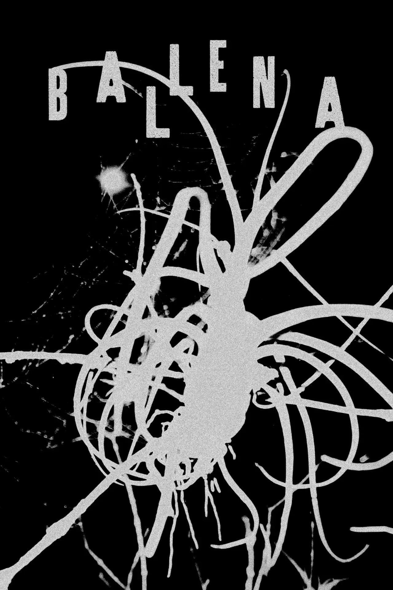 Plakat filmowy "Ballena"