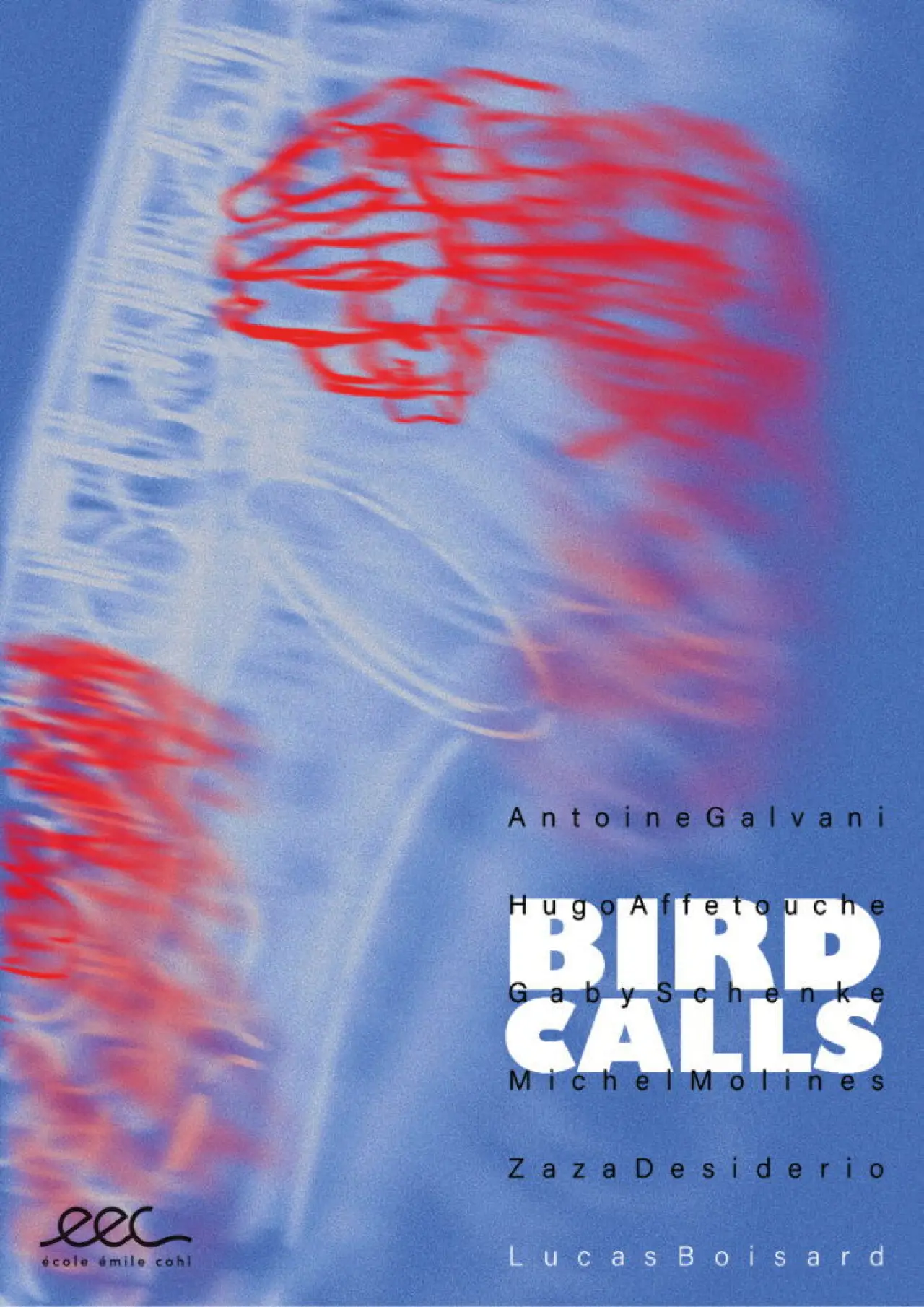Plakat filmowy "Bird Calls"