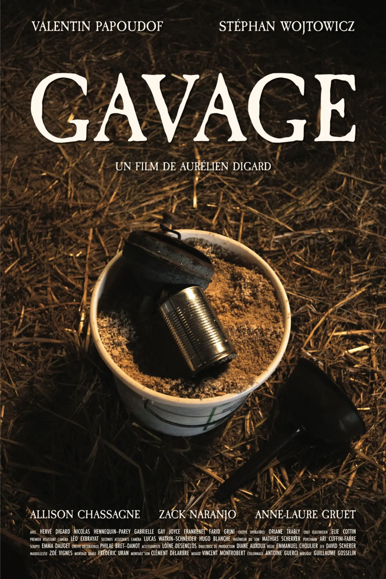 Plakat filmowy "Gavage"