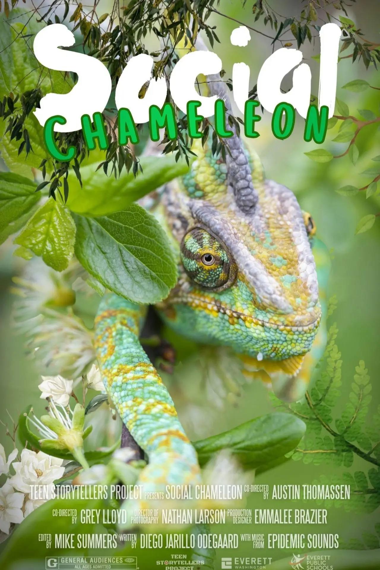 Plakat filmowy "Social Chameleon"