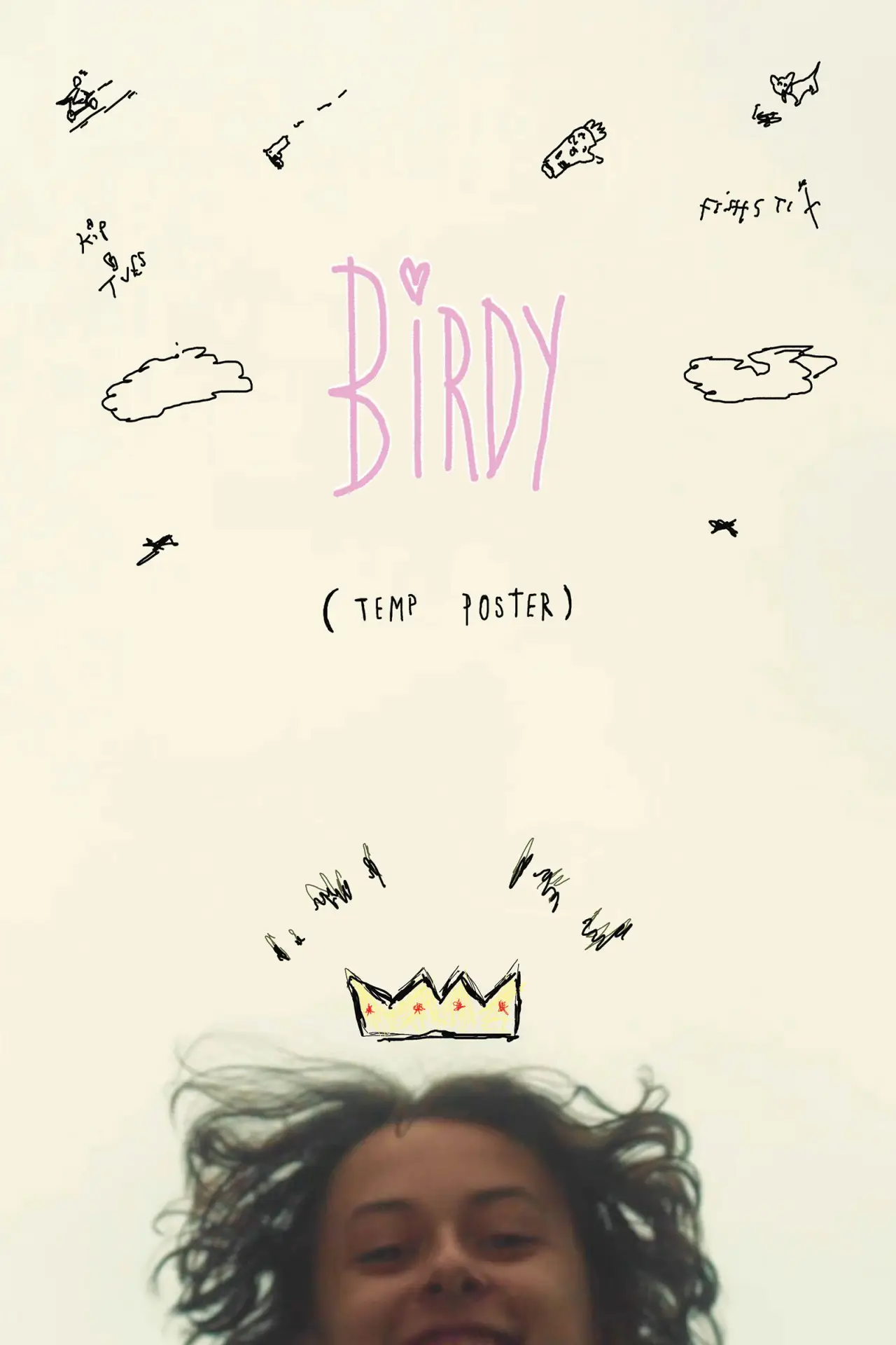 Plakat filmowy "BiRDY"