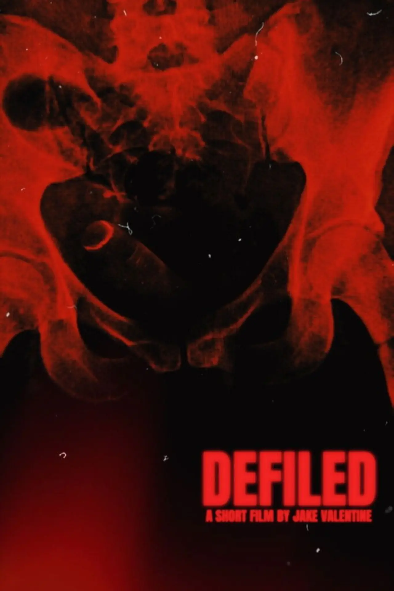 Plakat filmowy "Defiled"