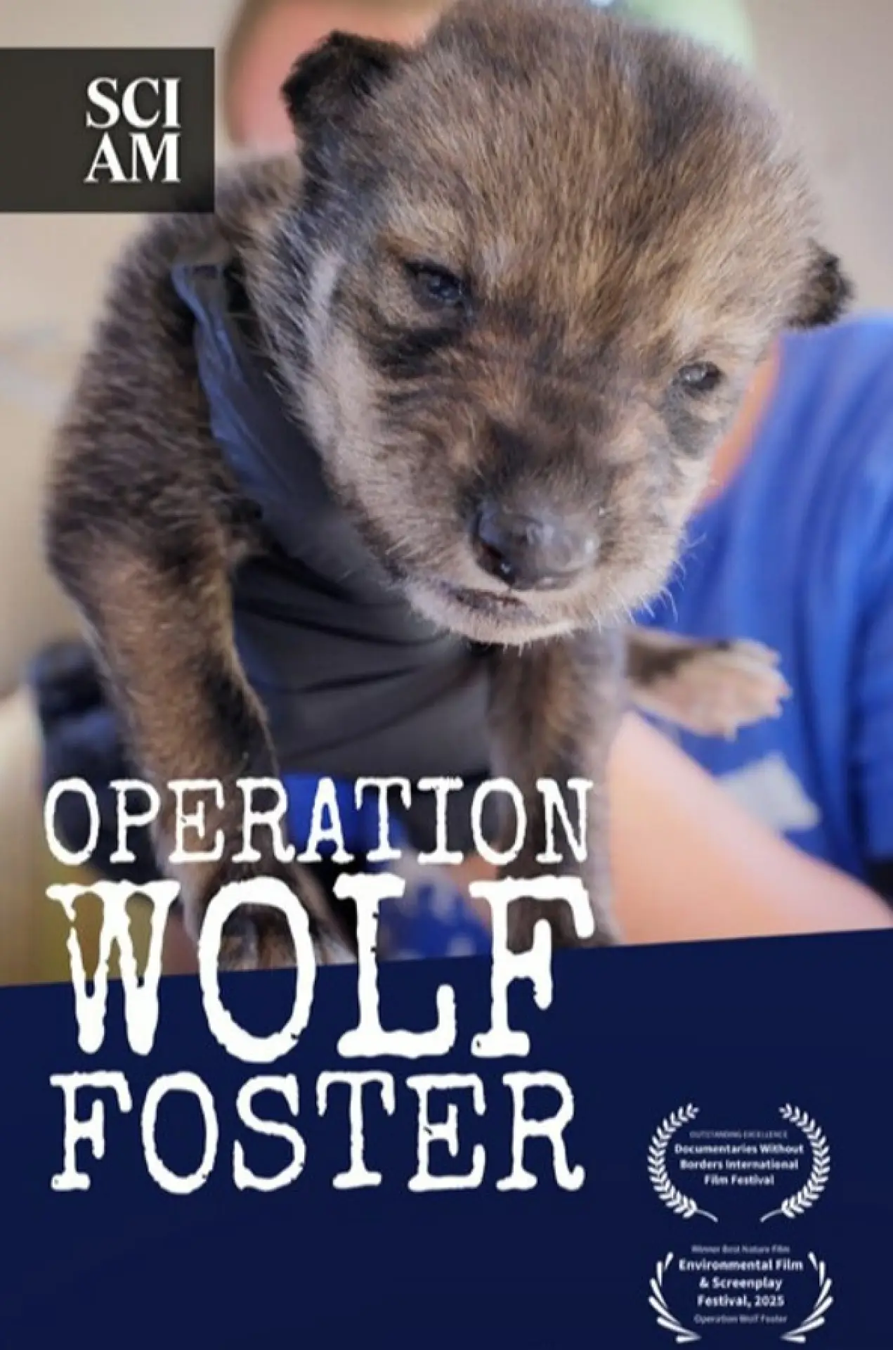 Plakat filmowy "Operation Wolf Foster"