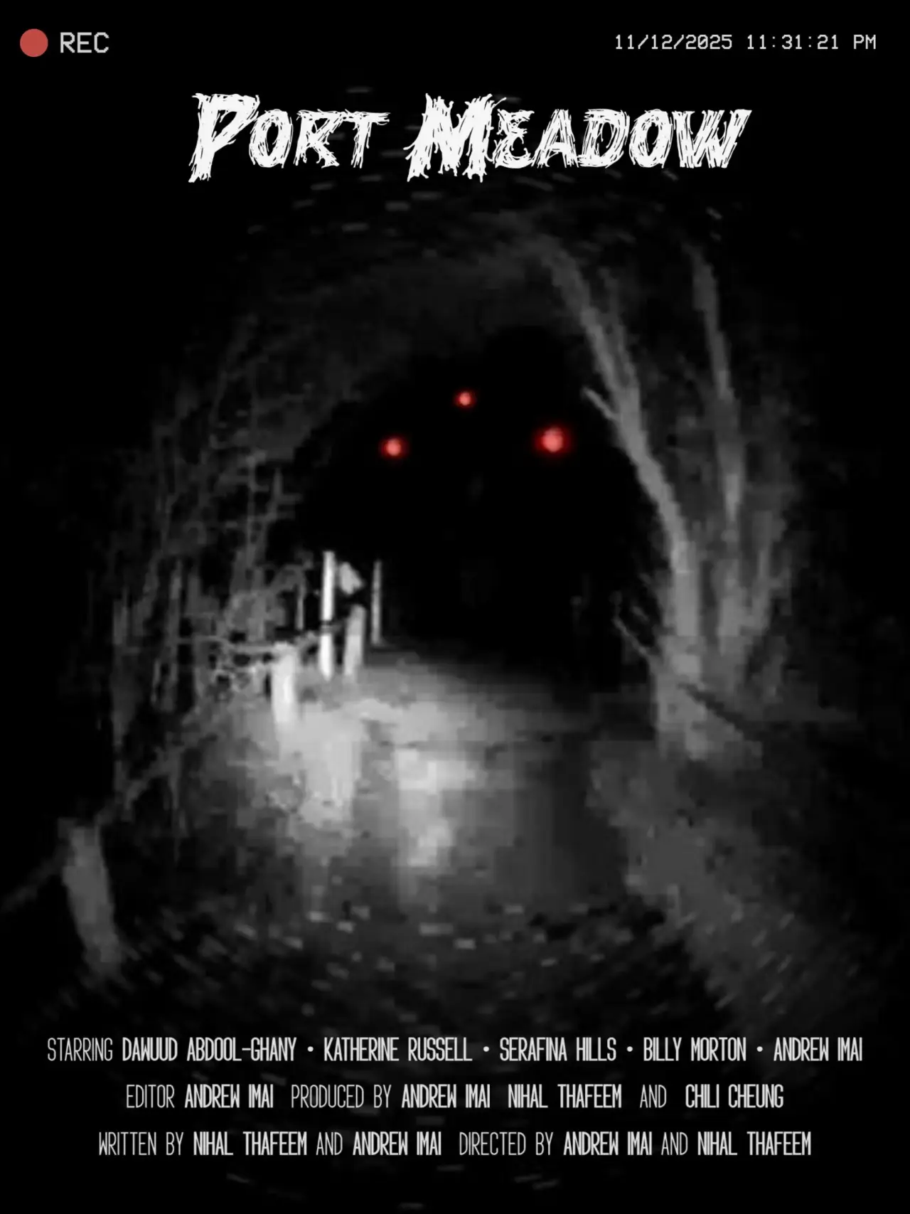 Plakat filmowy "Port Meadow"