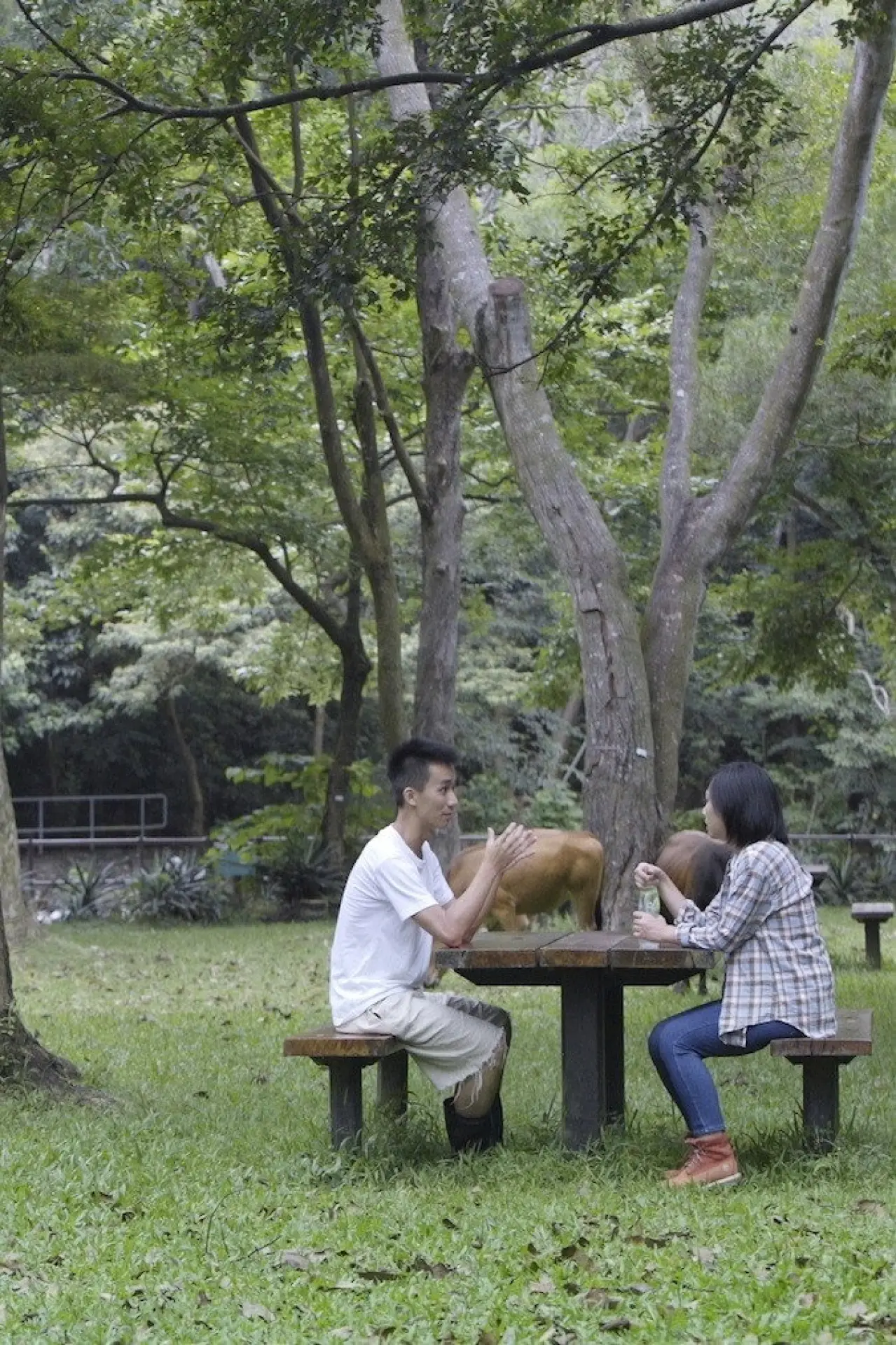 Plakat filmowy "守牛人"