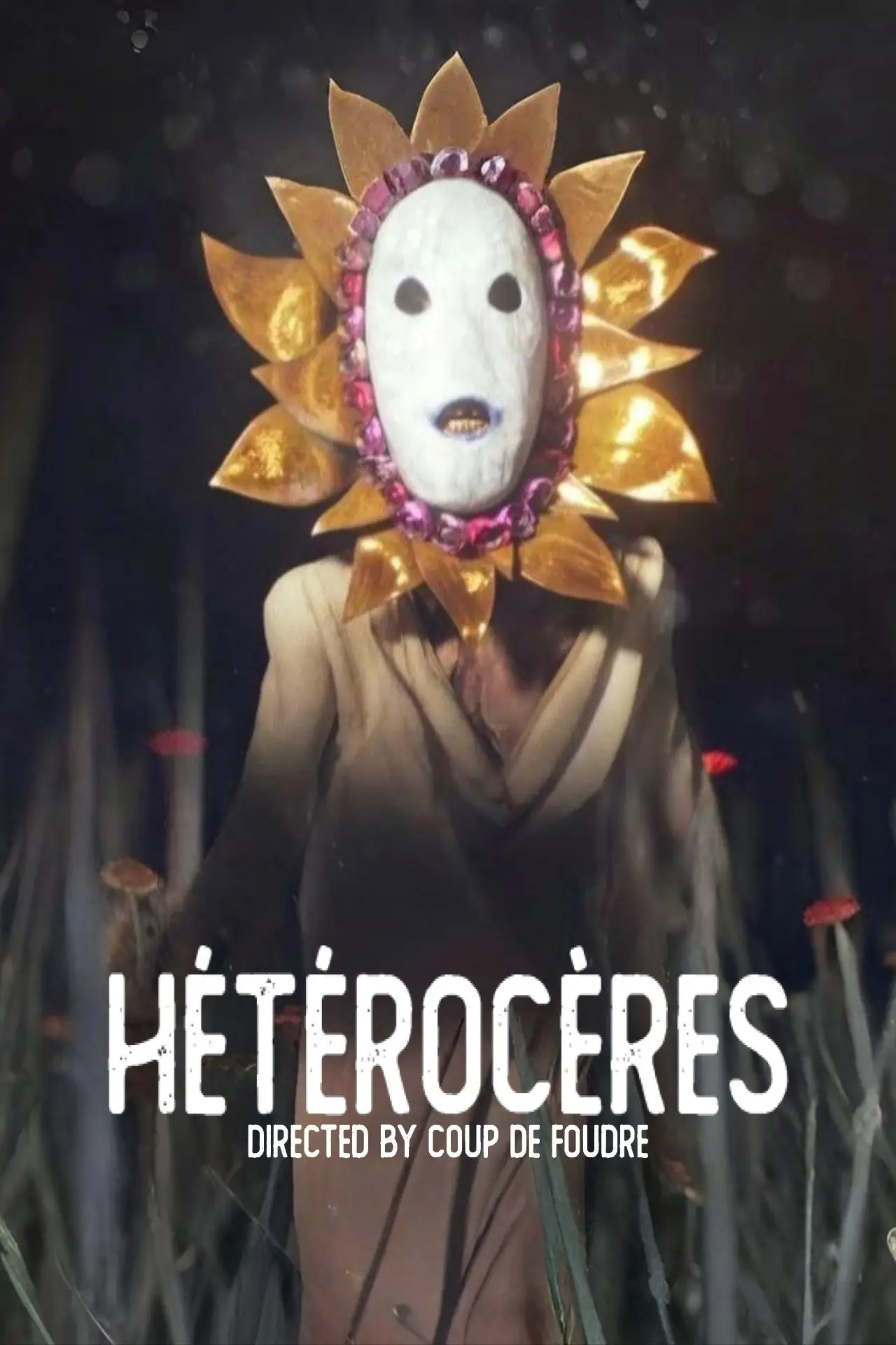 Plakat filmowy "HÉTÉROCÈRES"