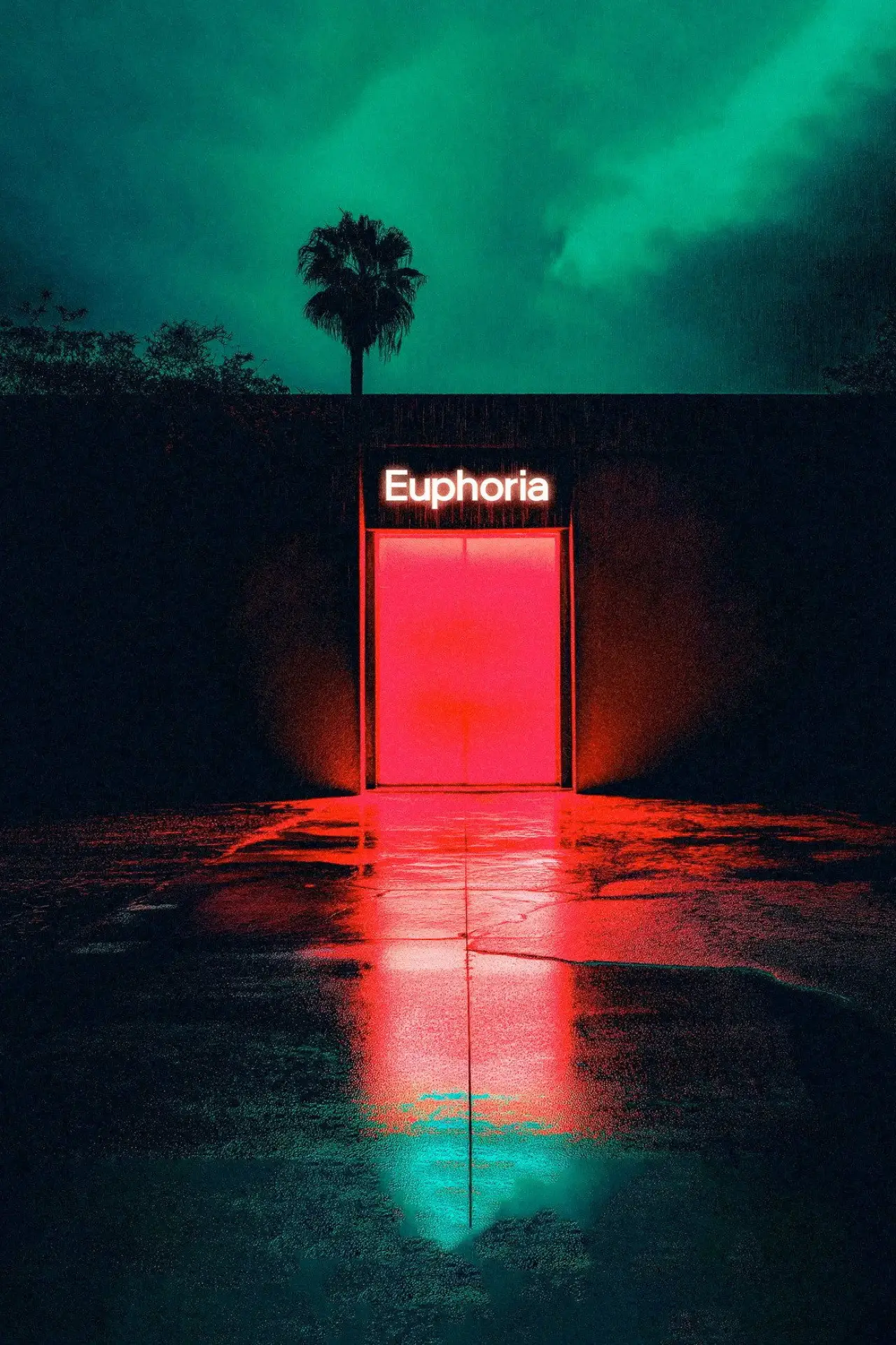 Plakat filmowy "Schiller - Euphoria"
