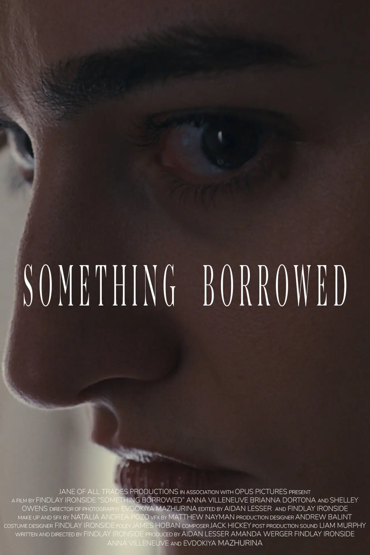 Plakat filmowy "Something Borrowed"