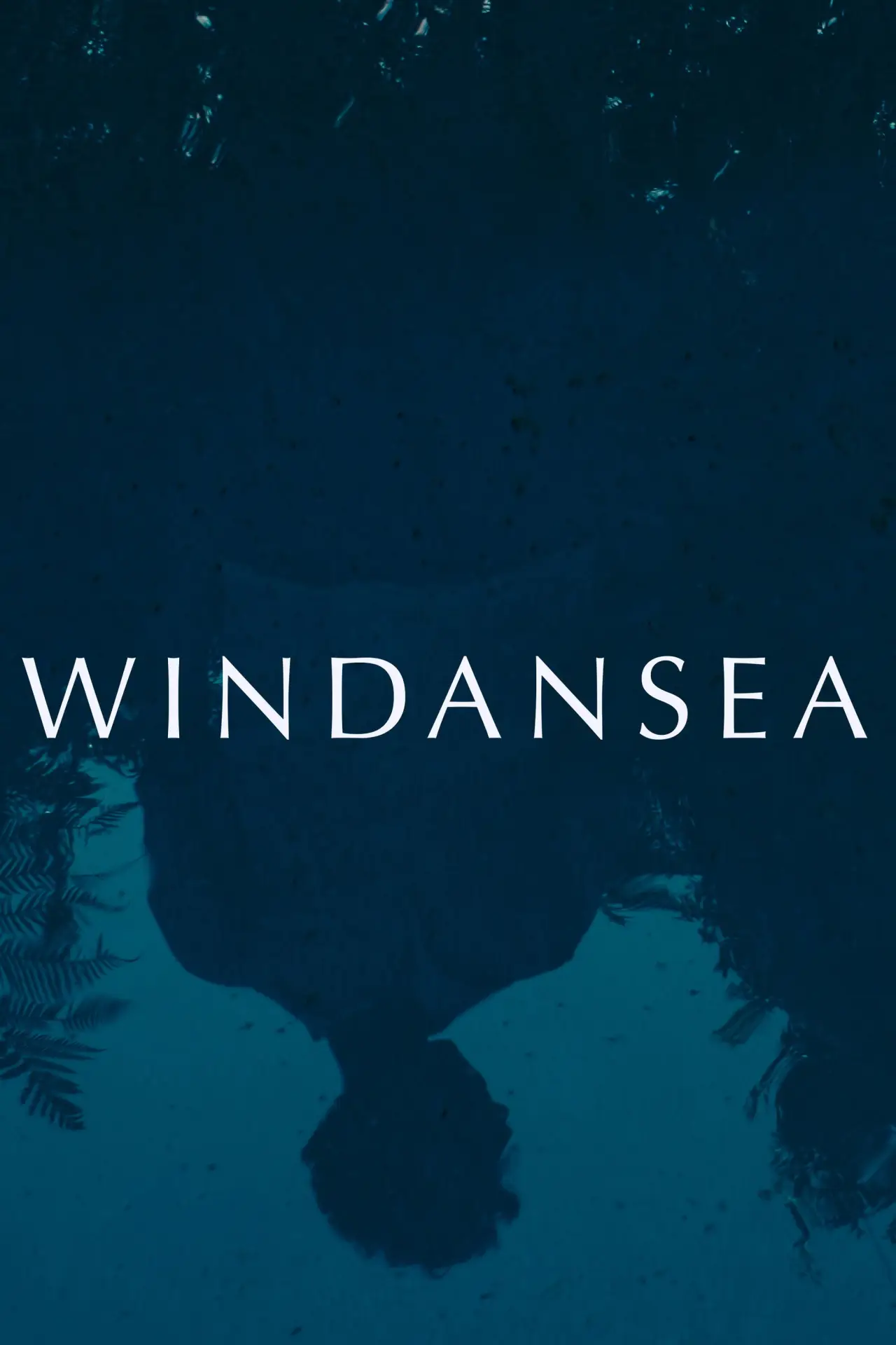 Plakat filmowy "Windansea"