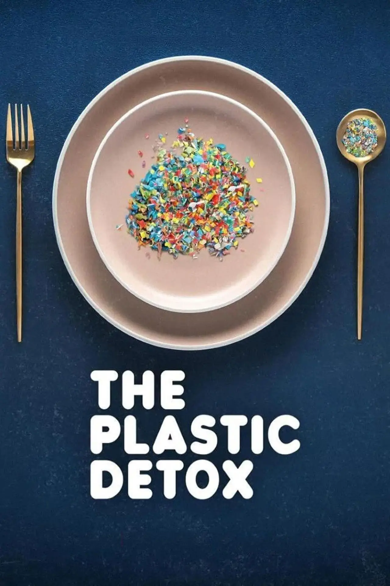 Plakat filmowy "Plastikowy detoks"