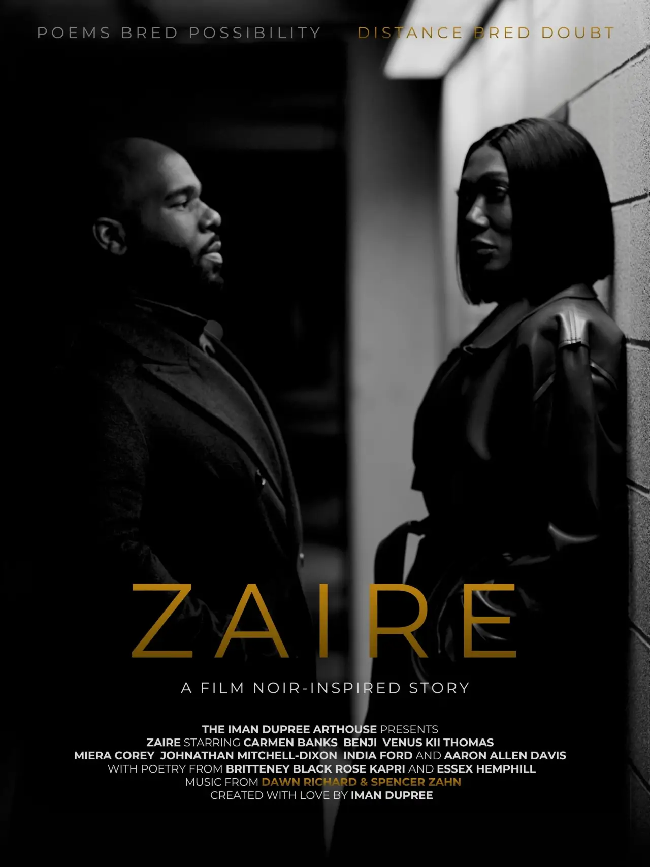 Plakat filmowy "ZAIRE"