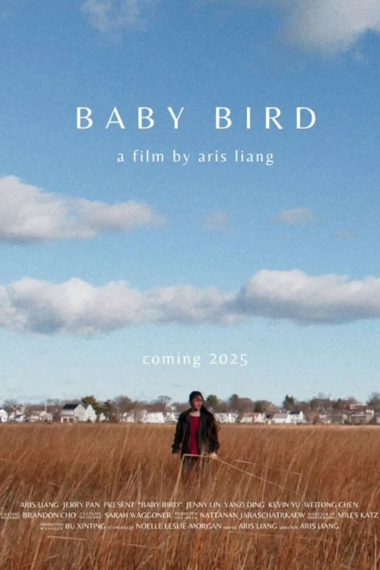 Plakat filmowy "Baby Bird"