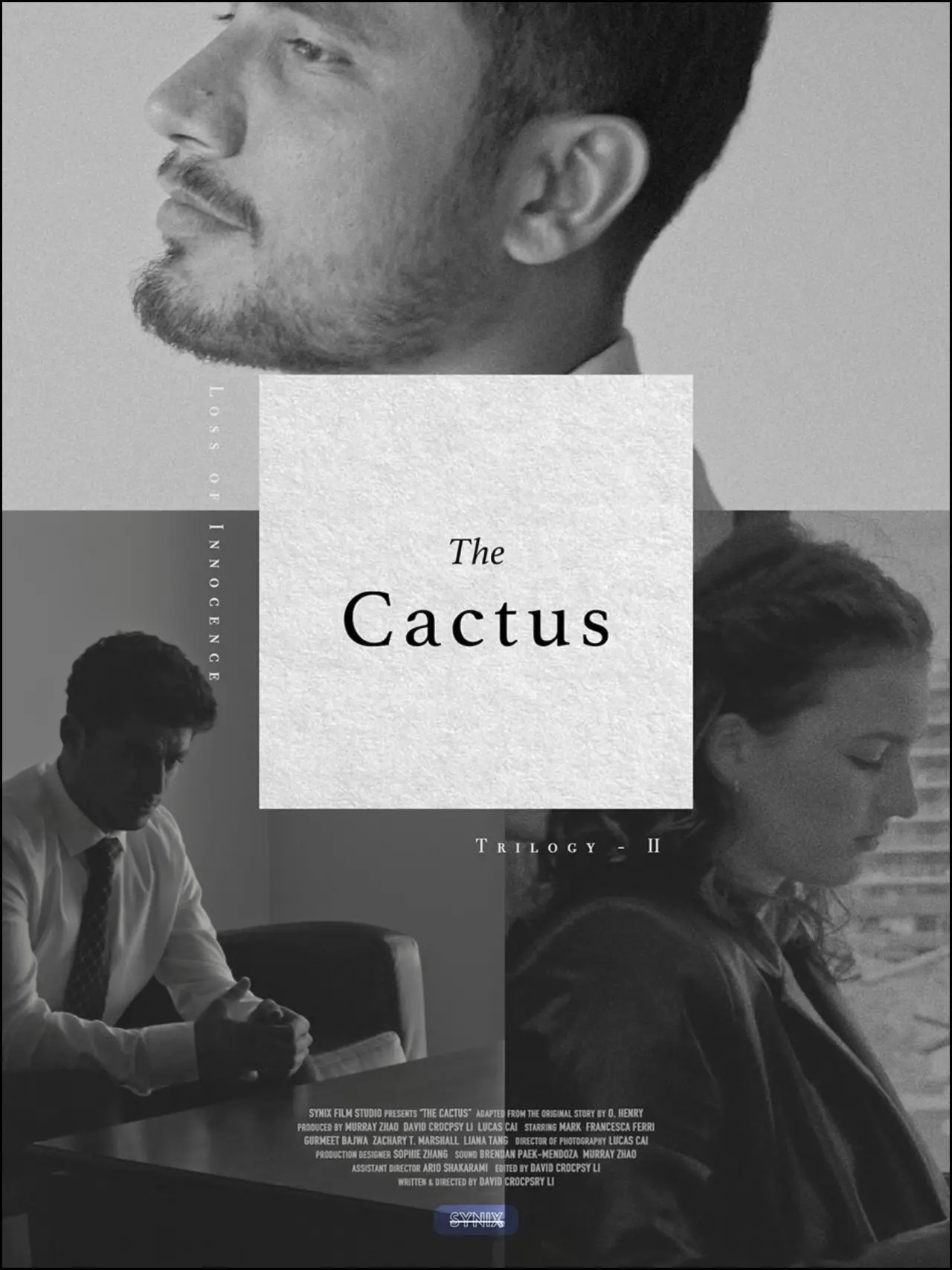 Plakat filmowy "The Cactus"