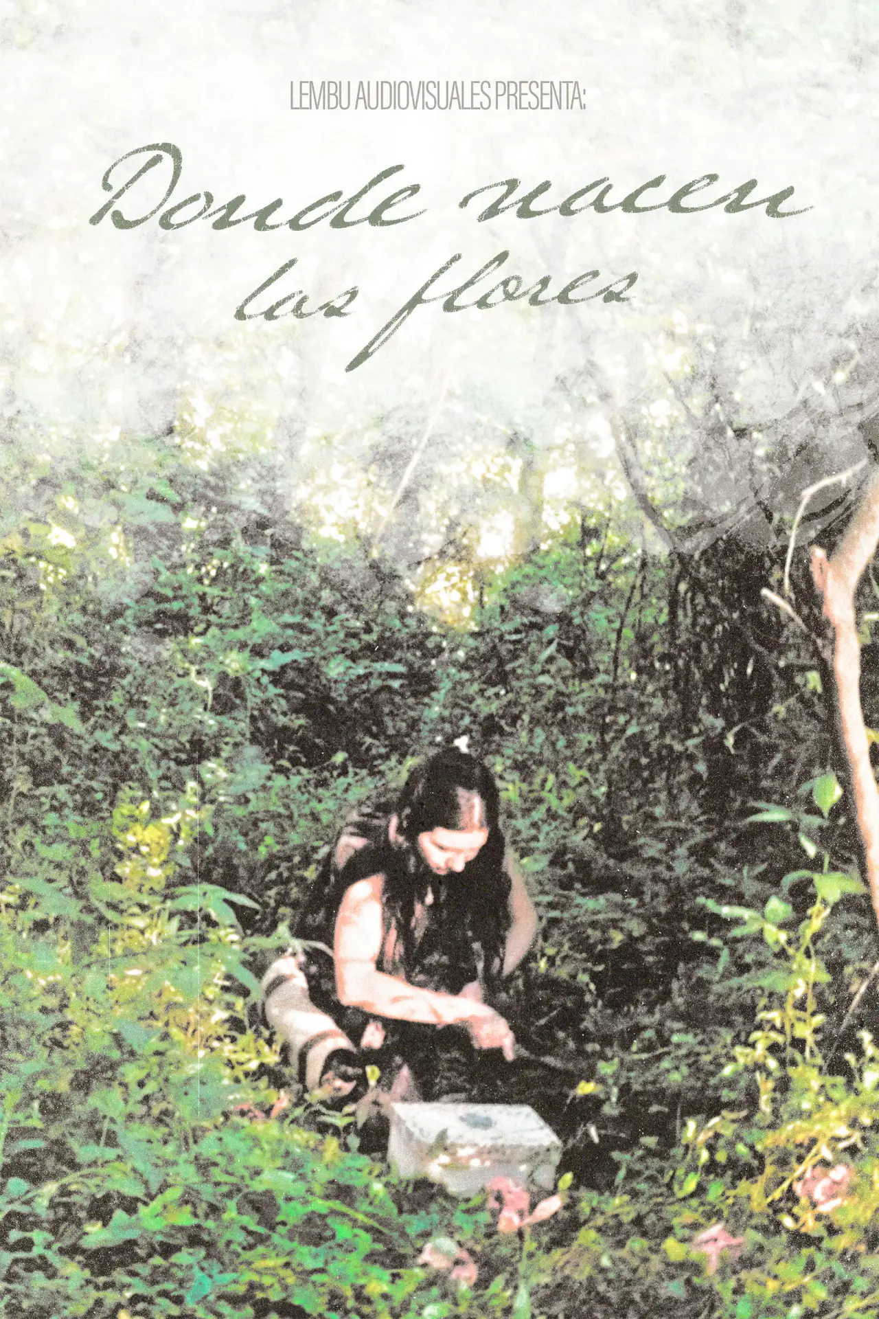 Plakat filmowy "Donde Nacen Las Flores"