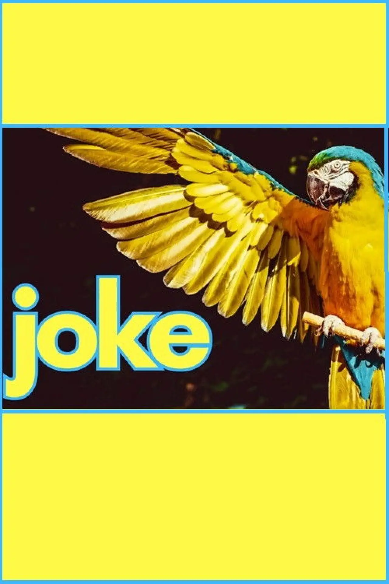 Plakat filmowy "Joke"