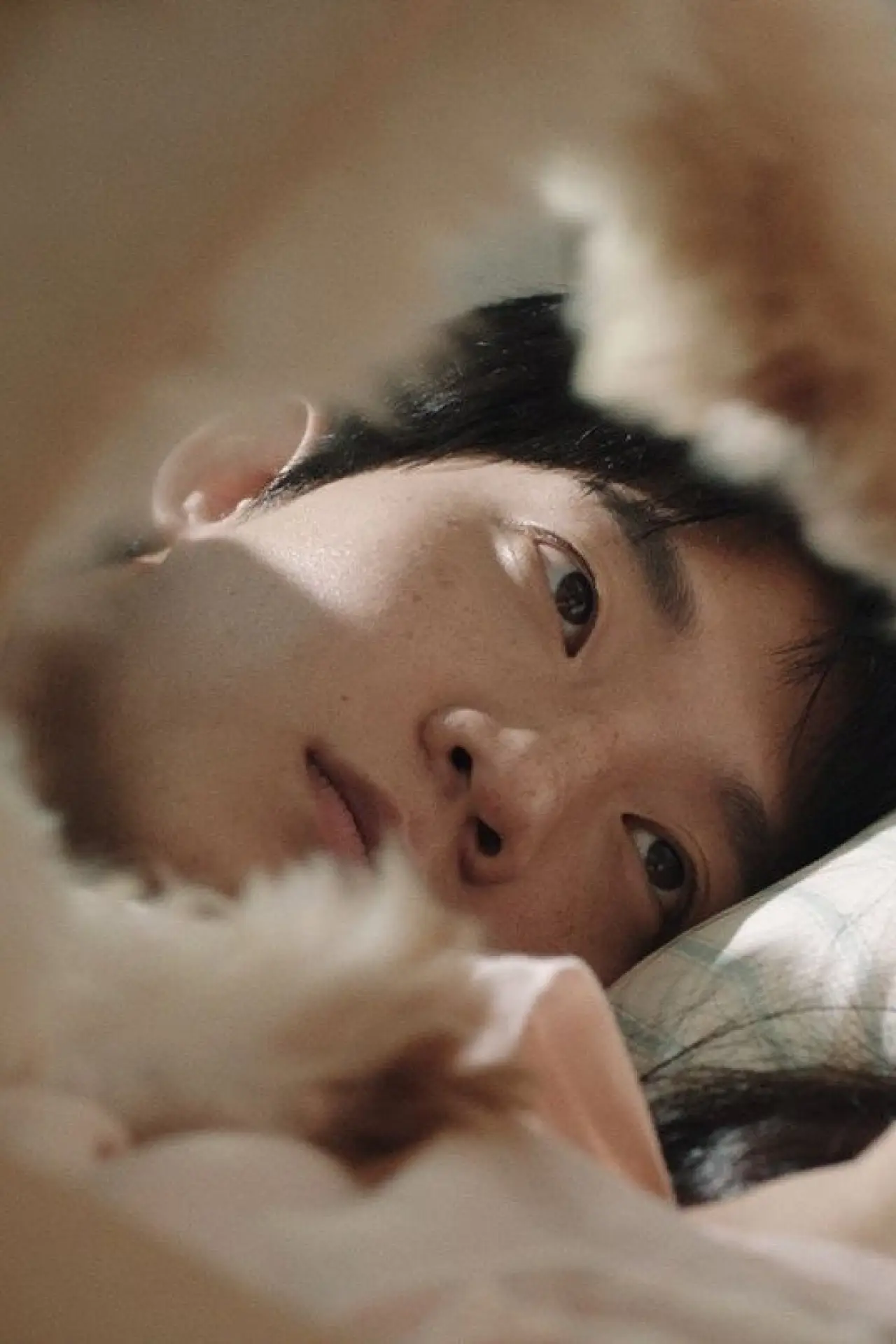 Plakat filmowy "개"