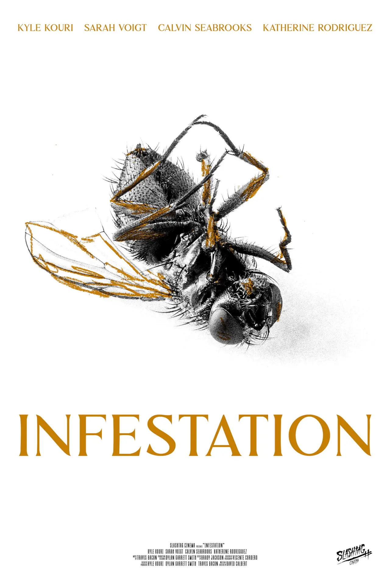 Plakat filmowy "Infestation"