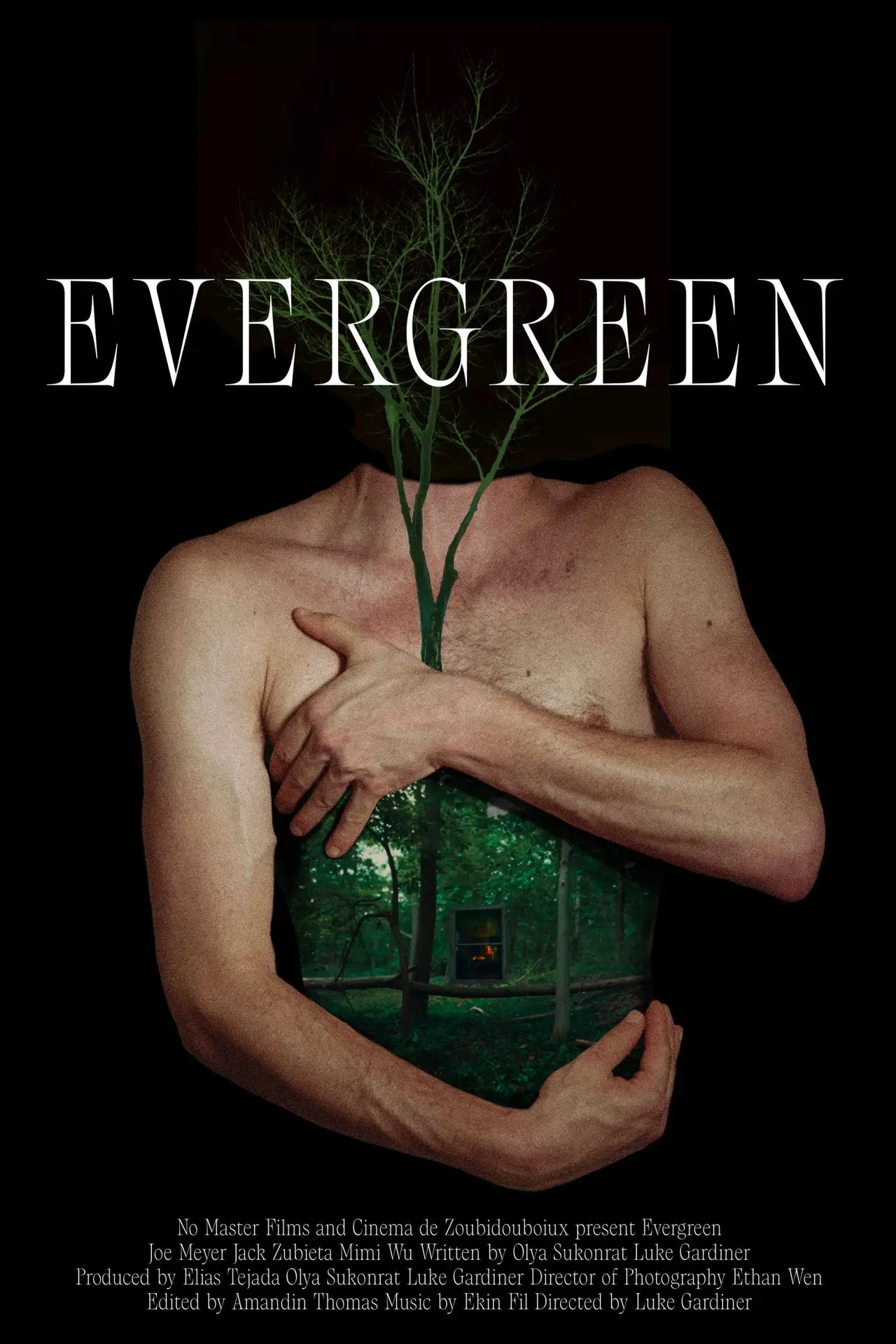Plakat filmowy "Evergreen"
