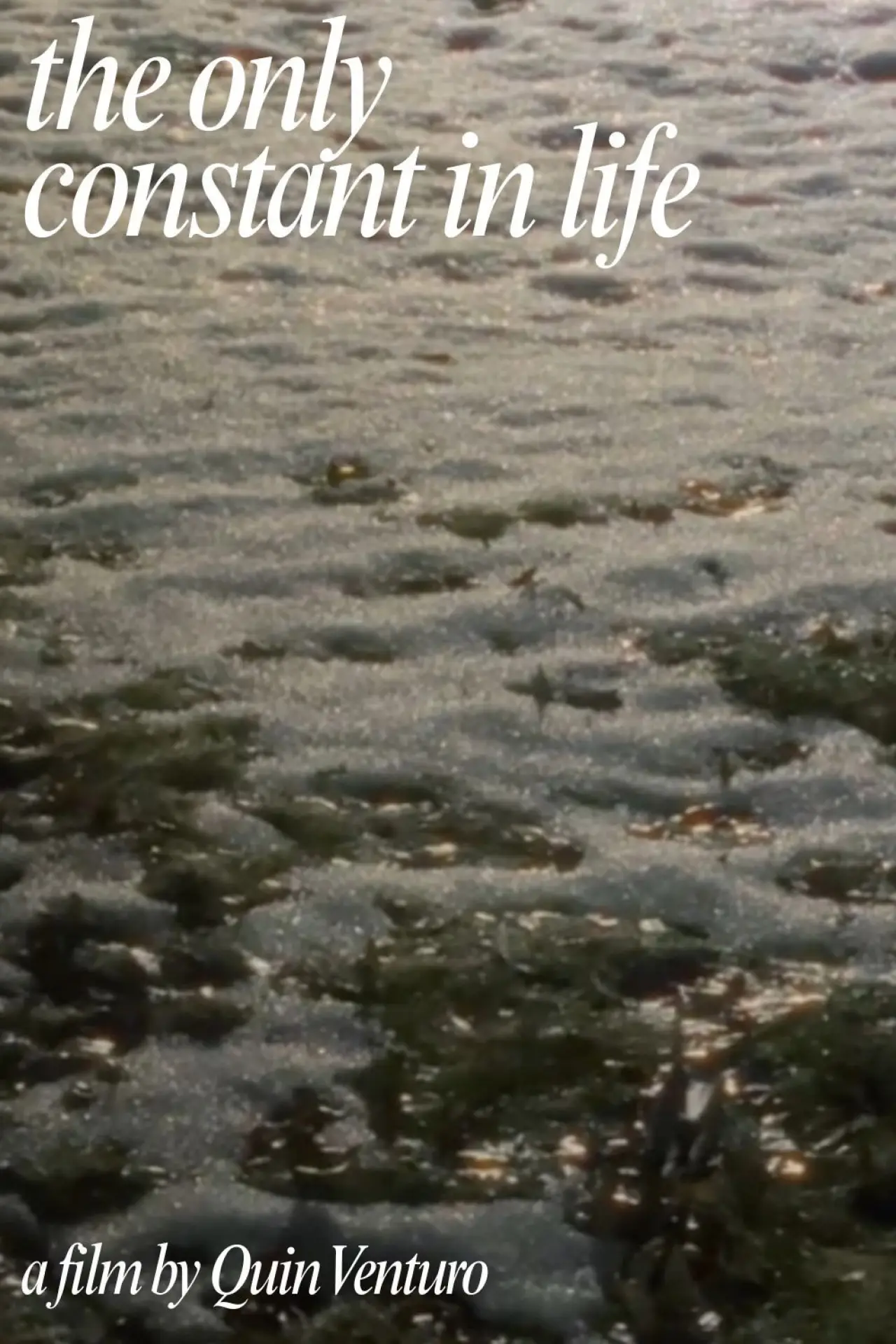 Plakat filmowy "The Only Constant In Life"