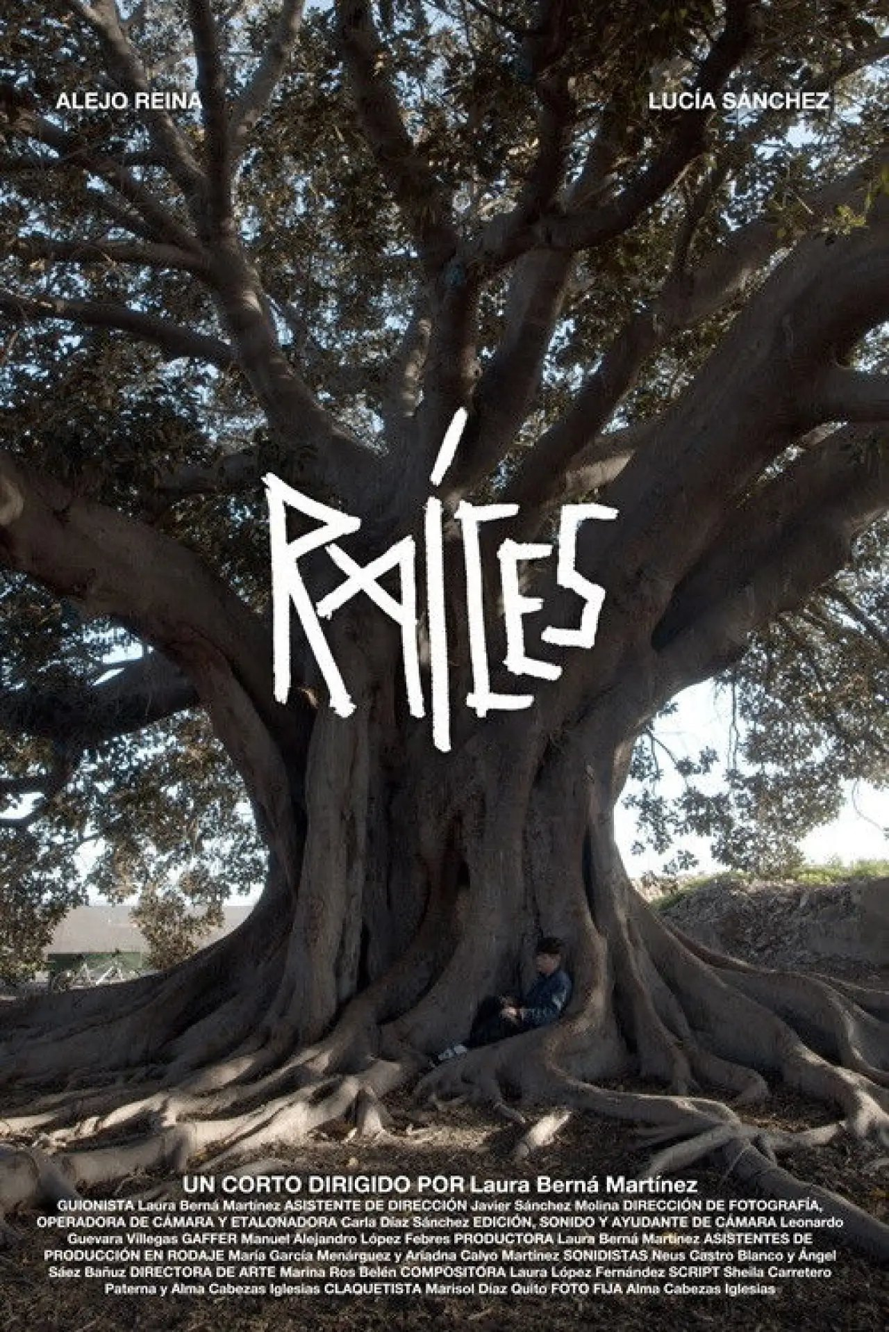 Plakat filmowy "Raíces"