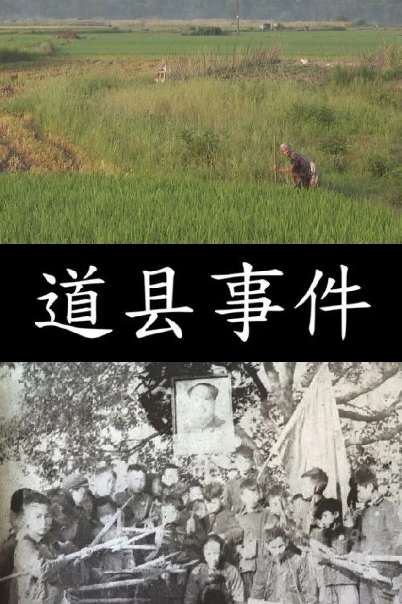 Plakat filmowy "道县事件"