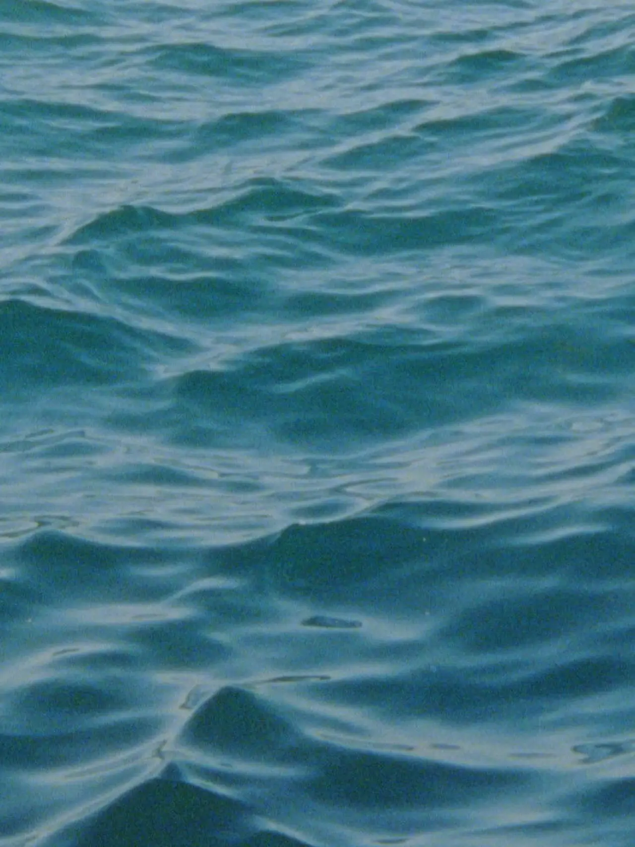 Plakat filmowy "Water Diary"
