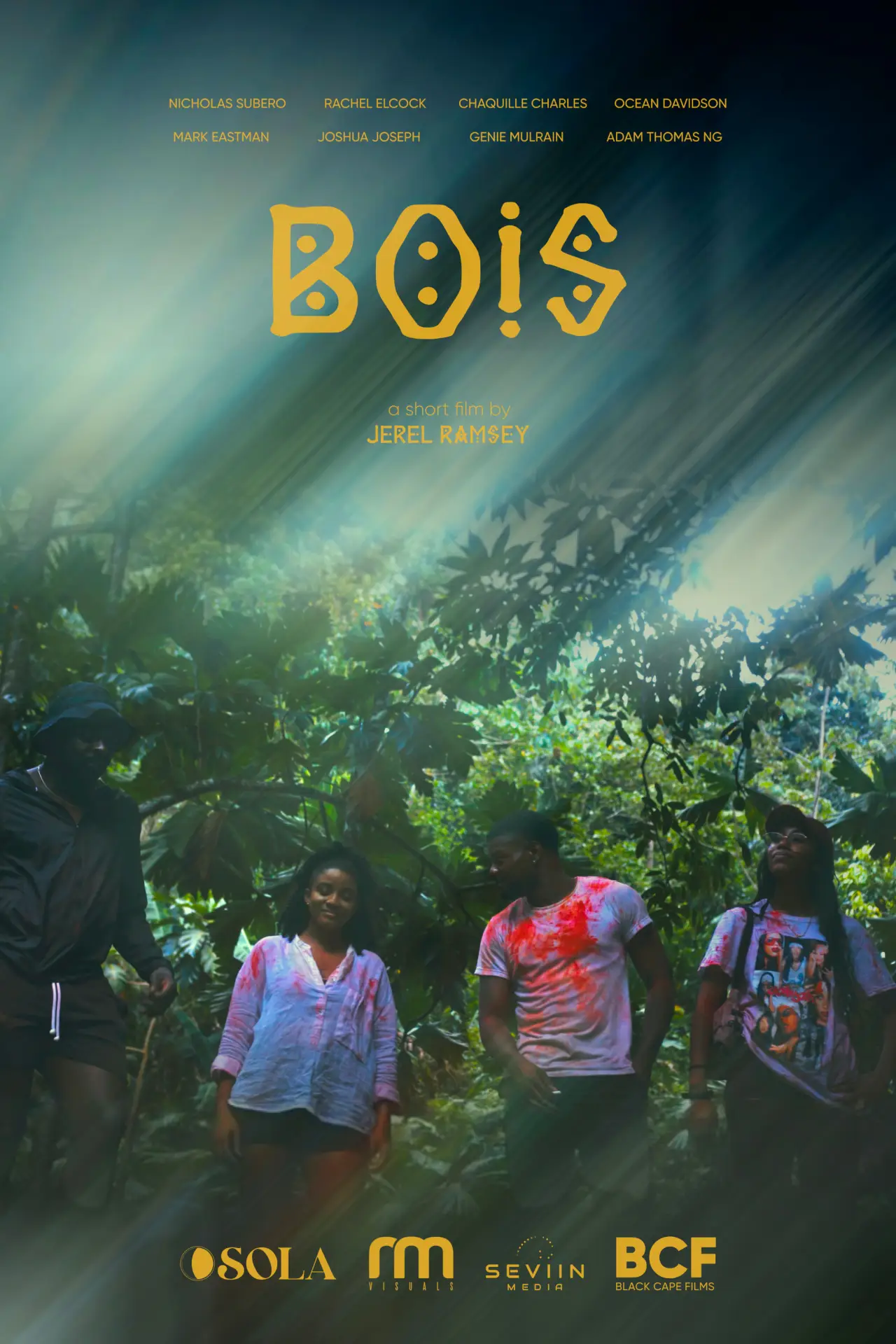 Plakat filmowy "Bois"