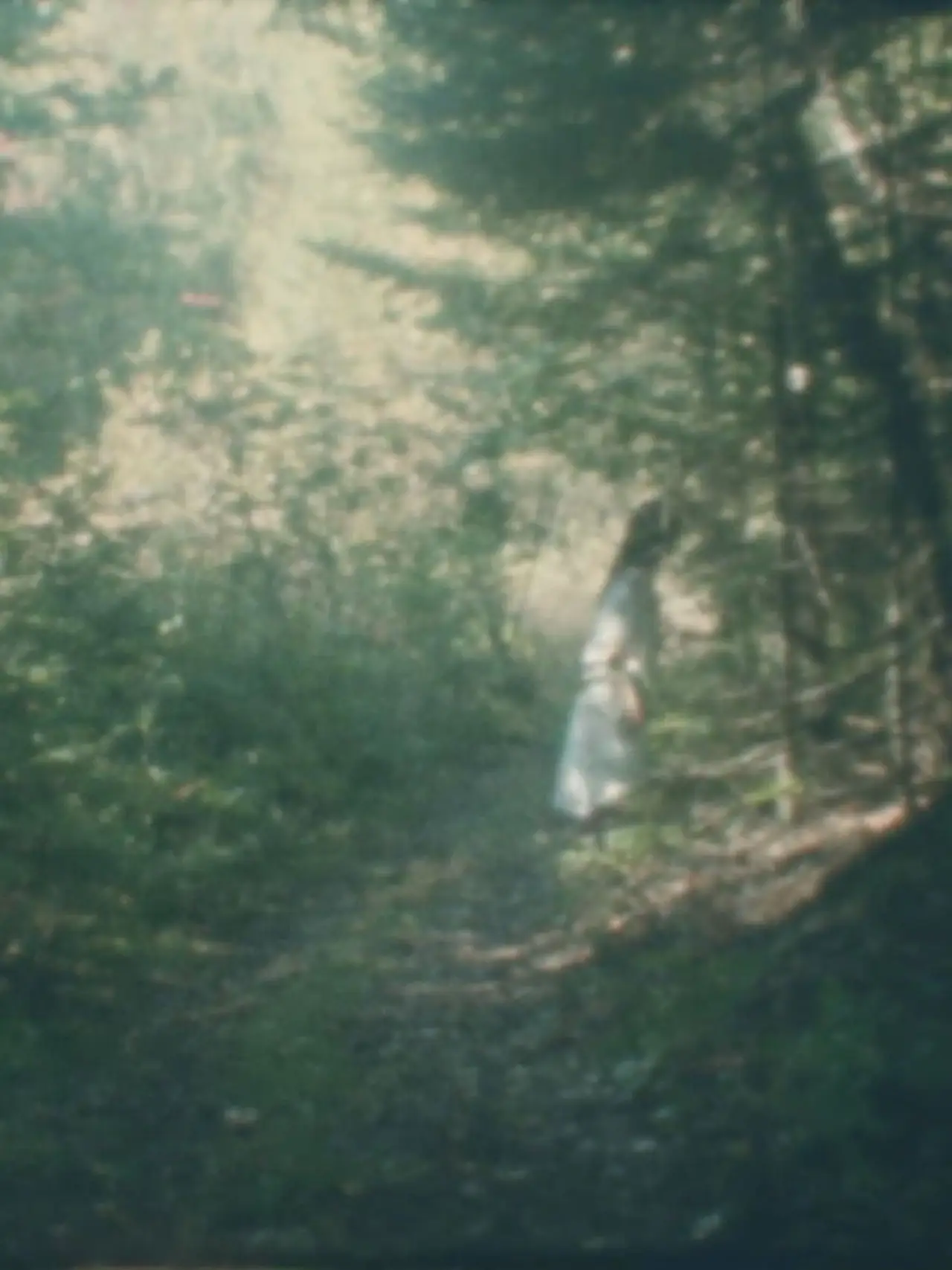 Plakat filmowy "Femme forêt"