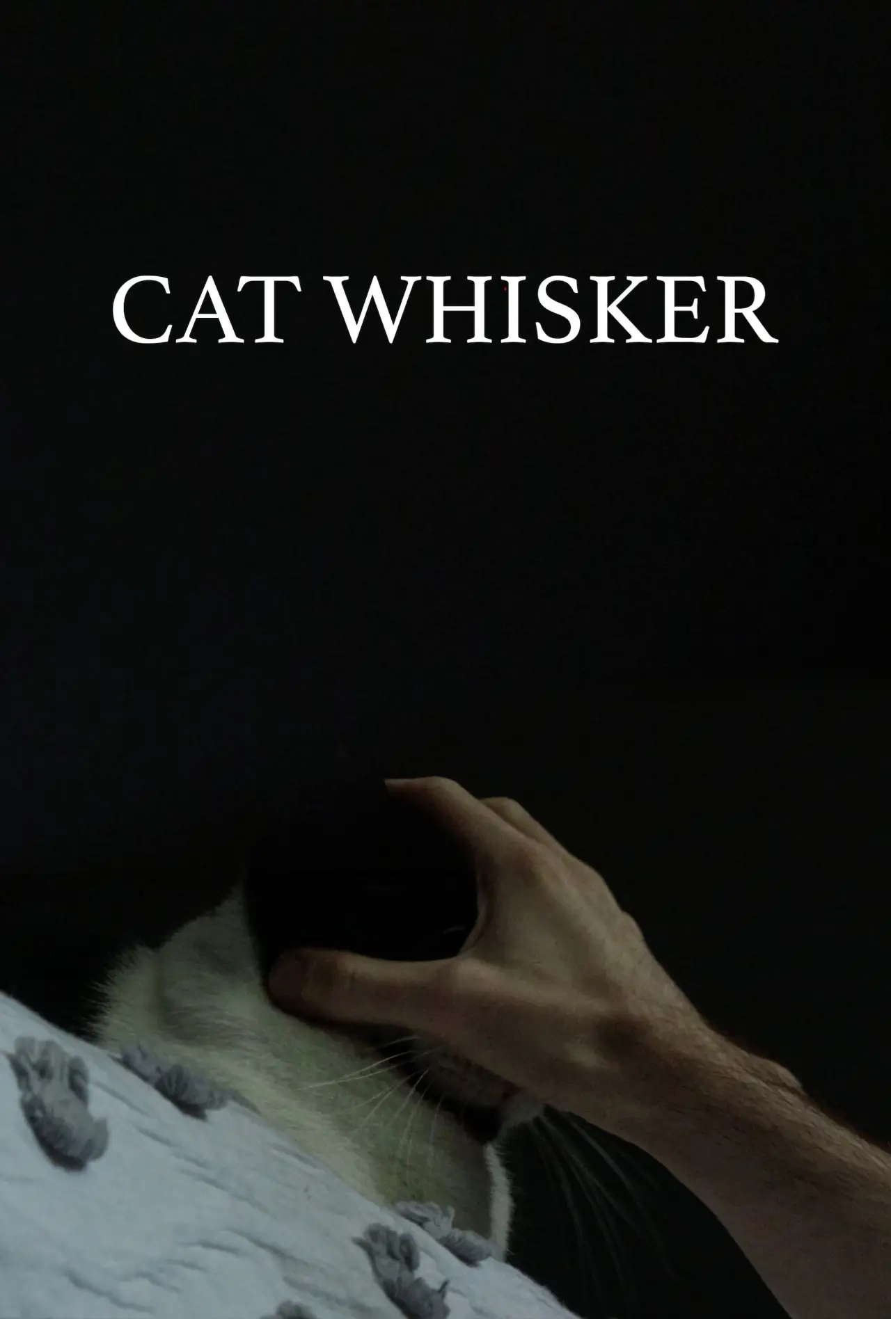 Plakat filmowy "Cat Whisker"