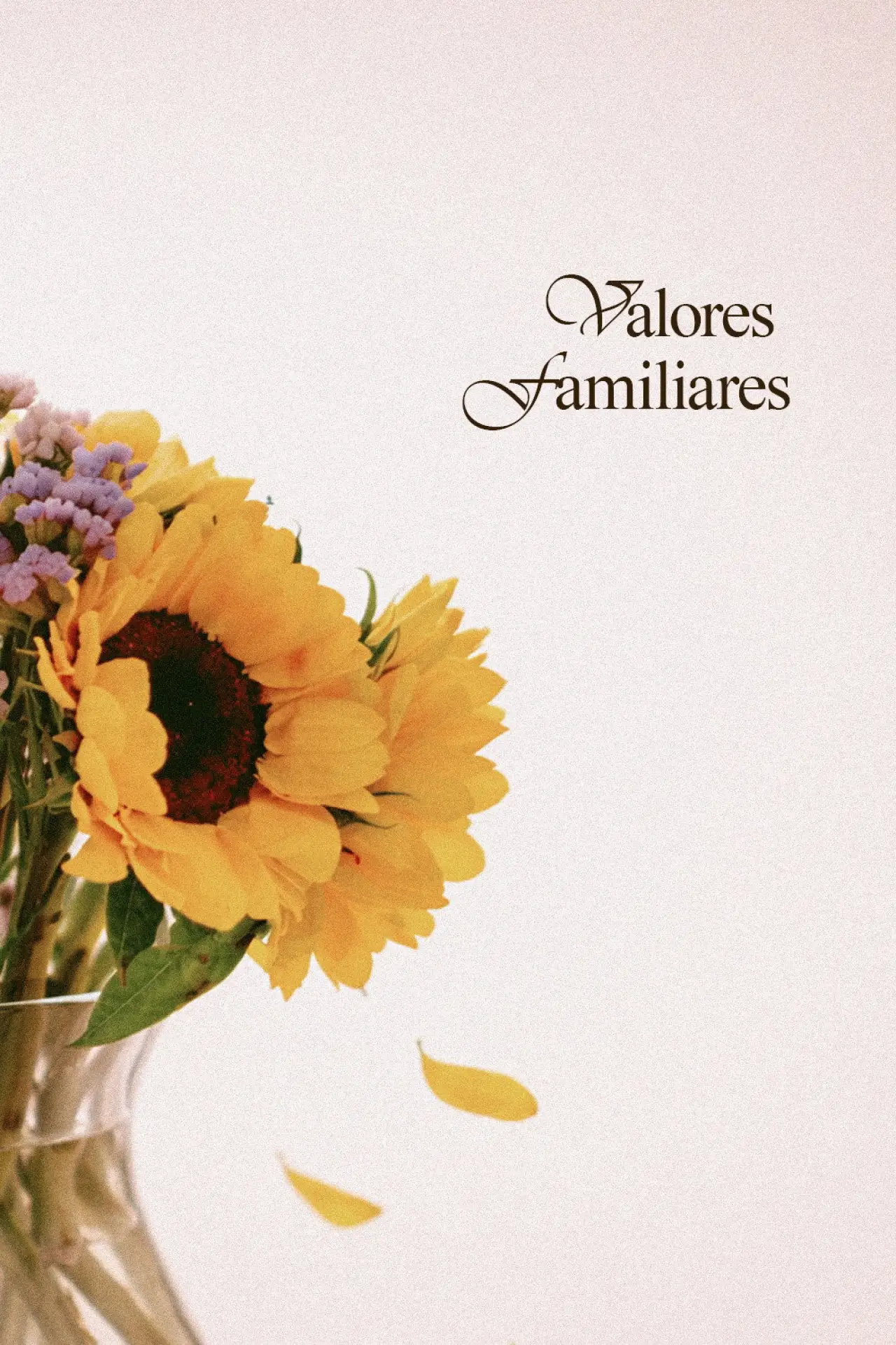 Plakat filmowy "Valores Familiares"