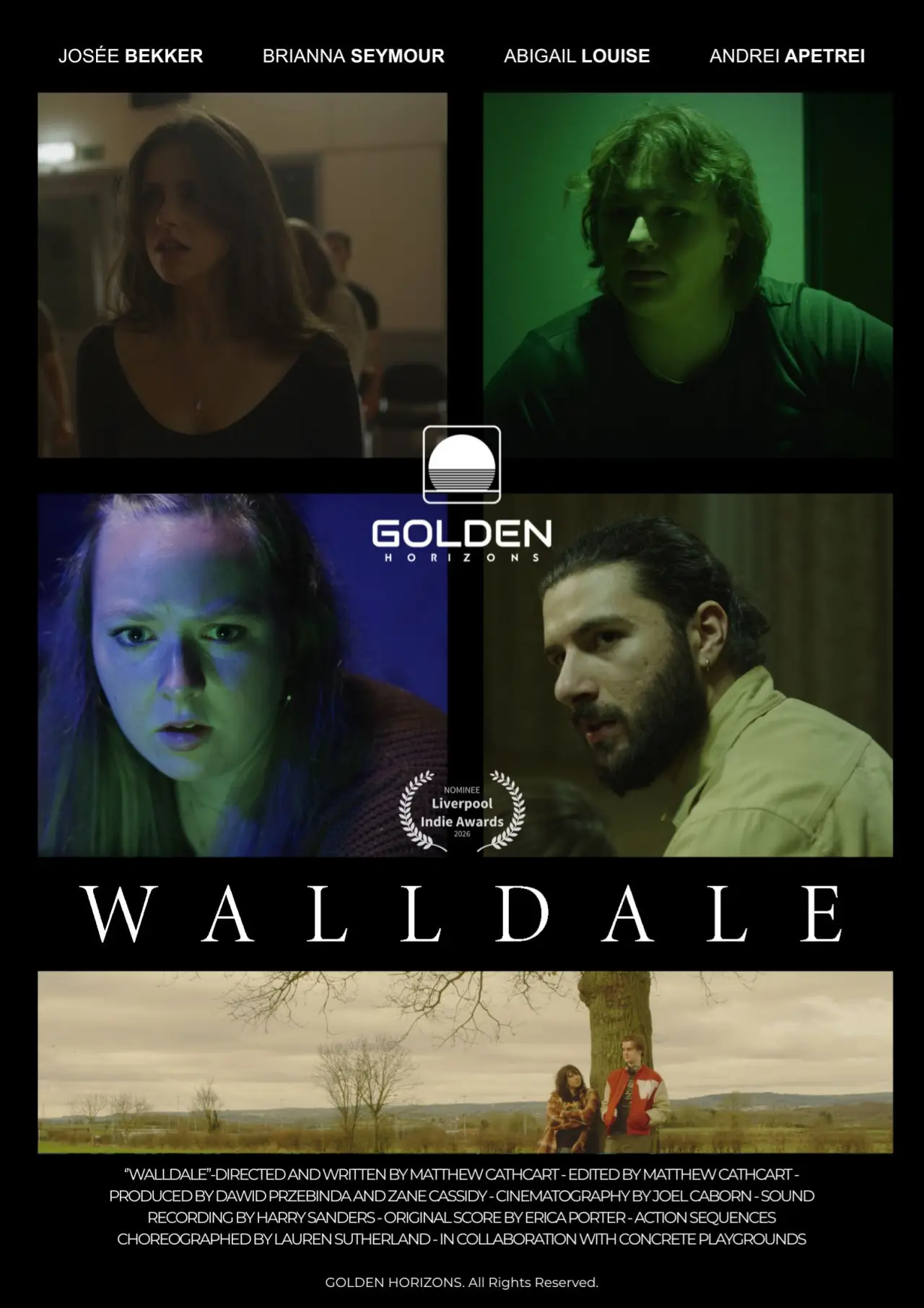 Plakat filmowy "WallDale"