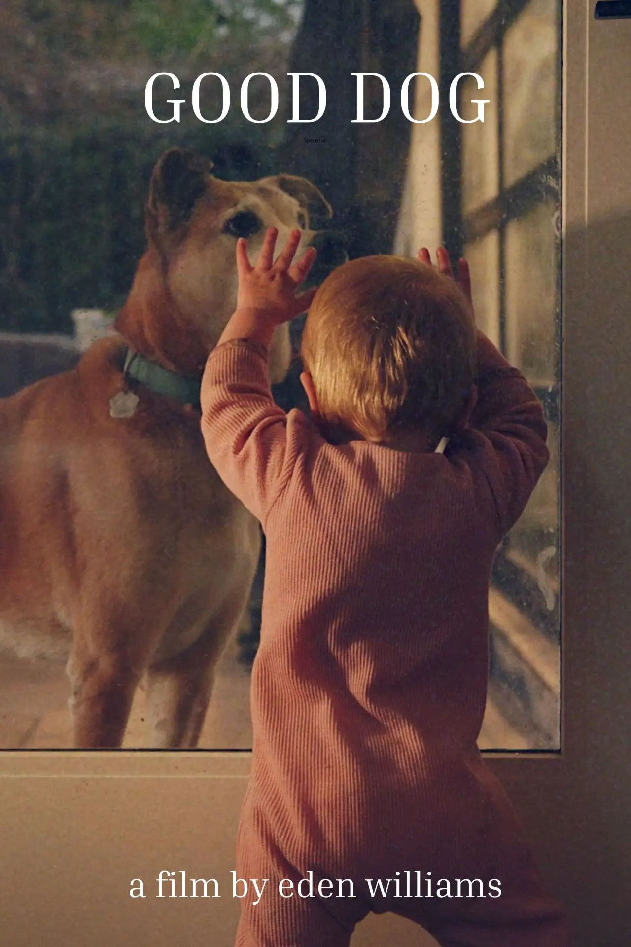 Plakat filmowy "Good Dog"