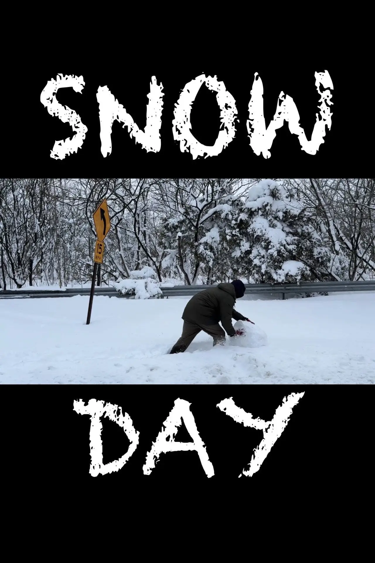 Plakat filmowy "Snowday"