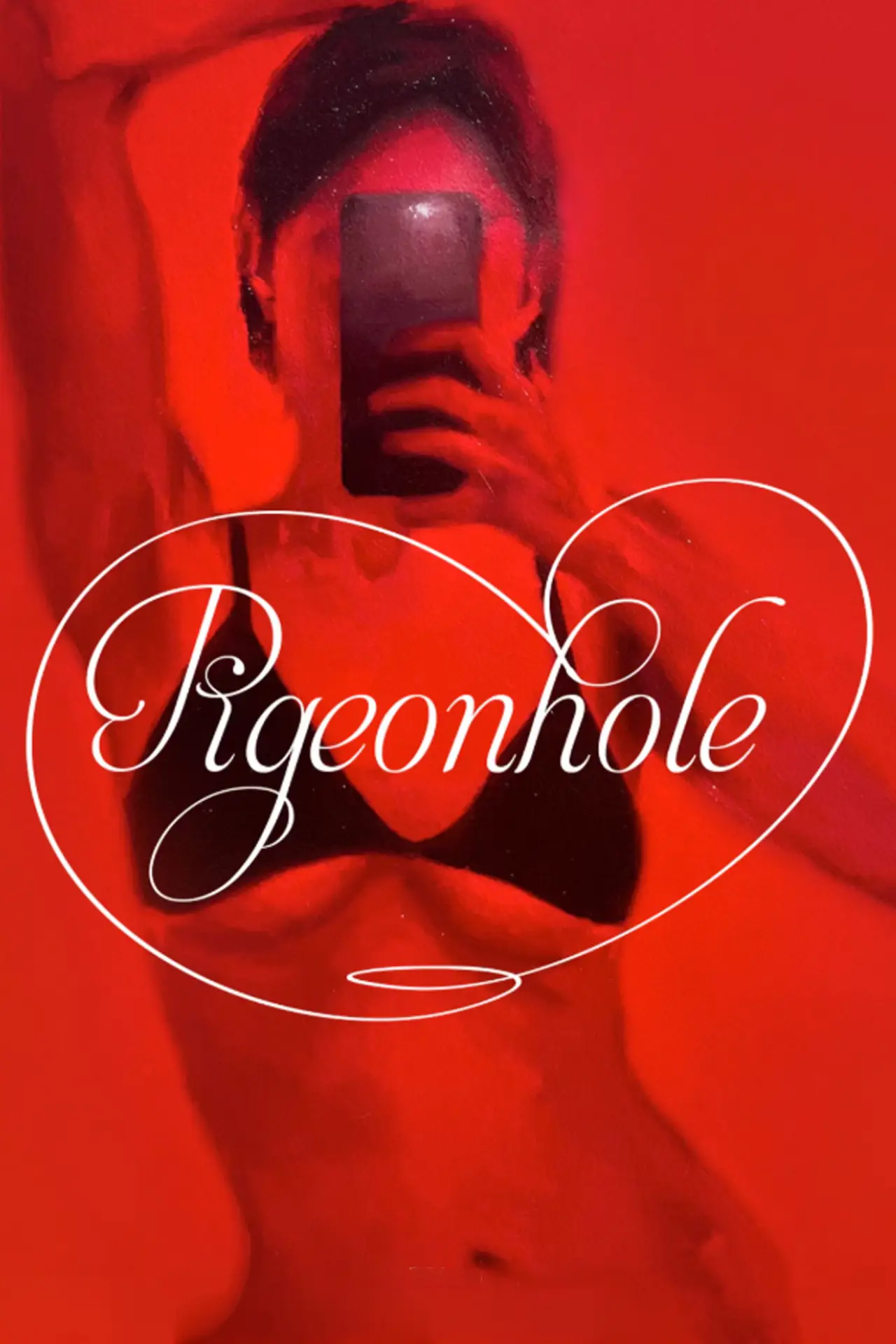 Plakat filmowy "pigeonhole"