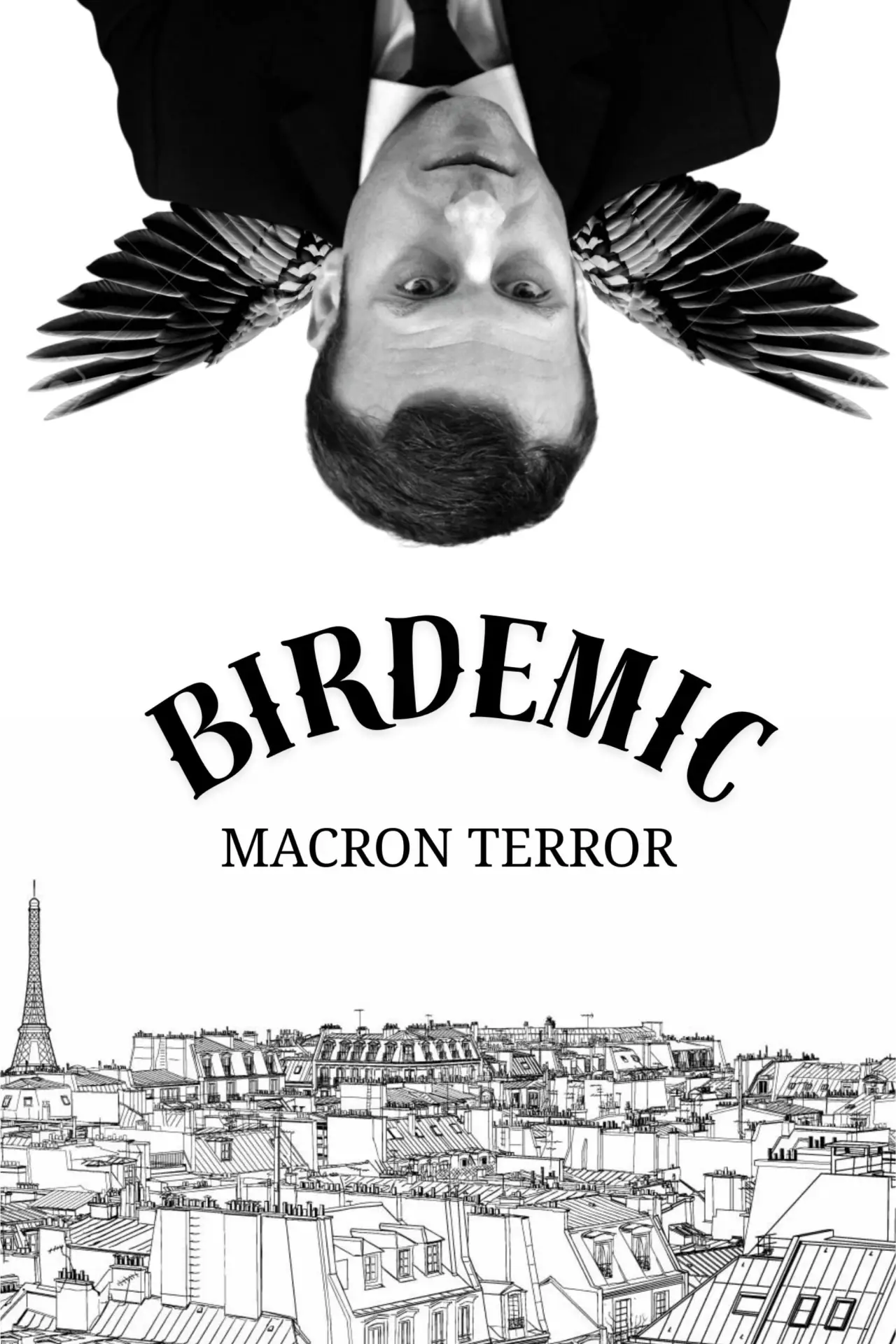 Plakat filmowy "Birdemic : Macron Terror"