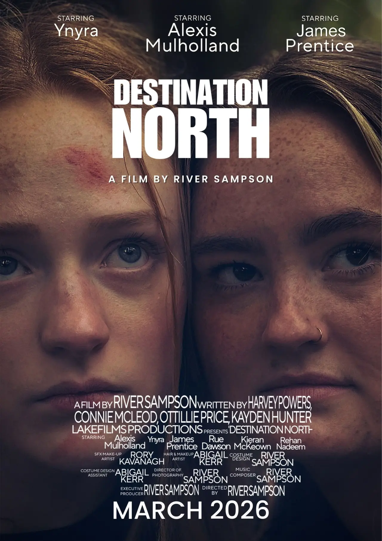 Plakat filmowy "Destination North"