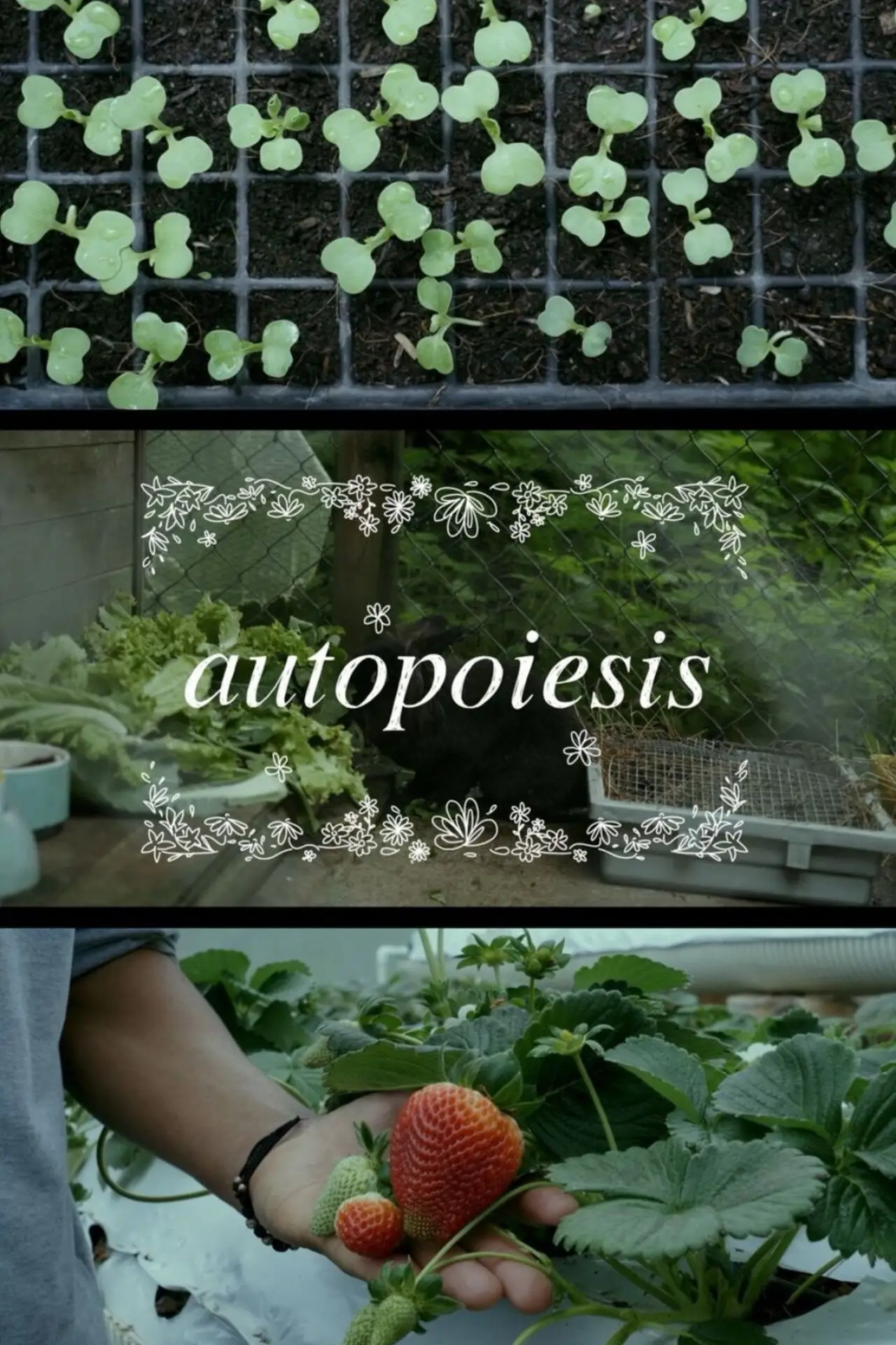 Plakat filmowy "Autopoiesis"