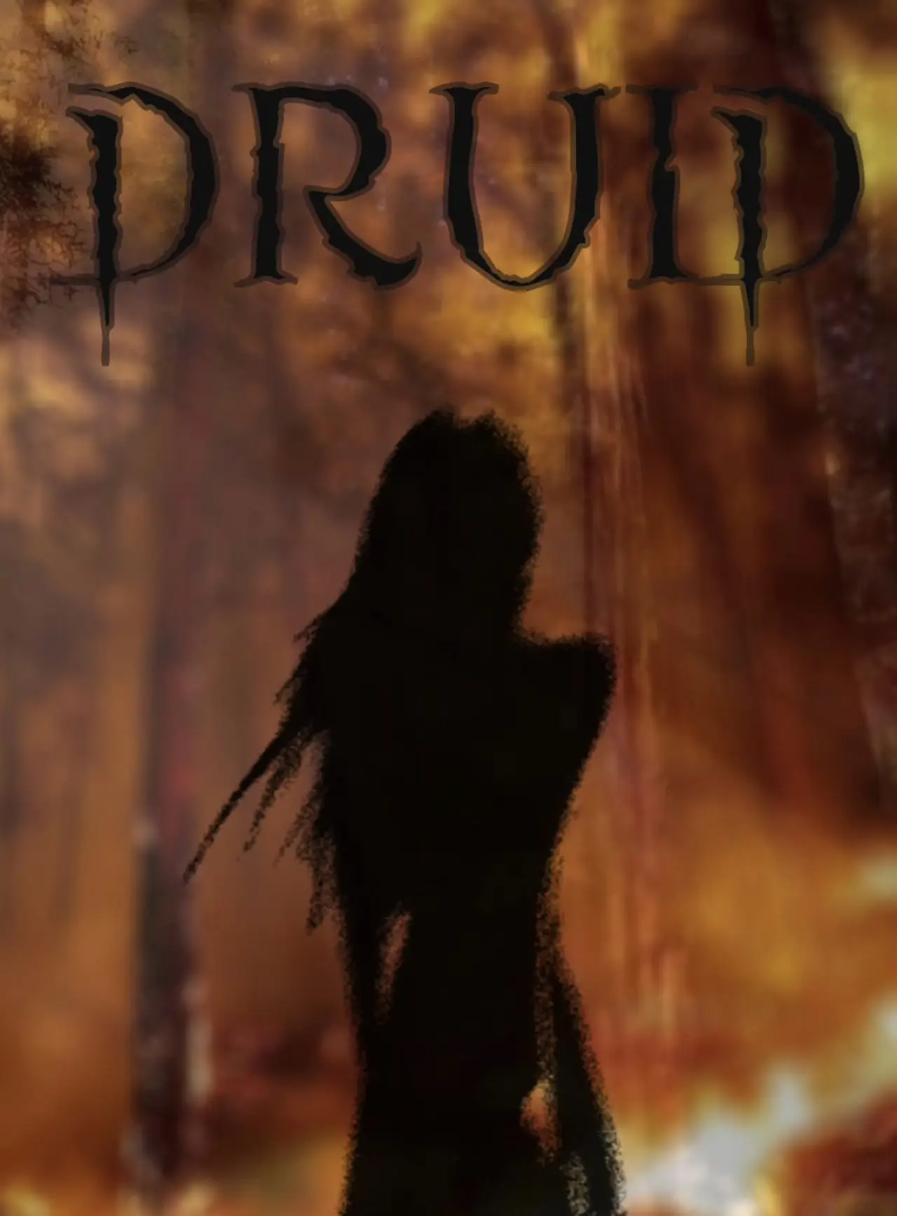 Plakat filmowy "DRUID"