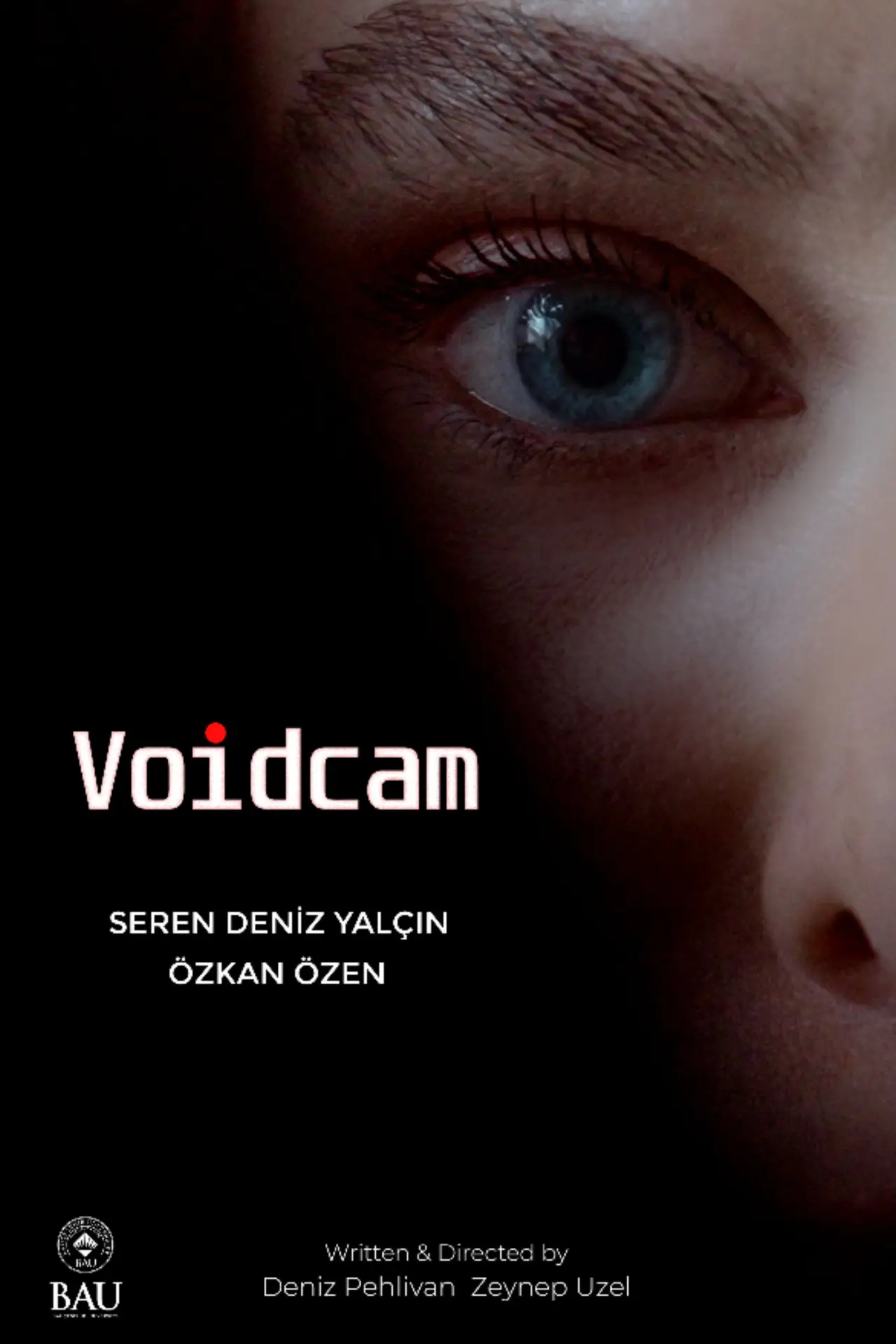 Plakat filmowy "Voidcam"
