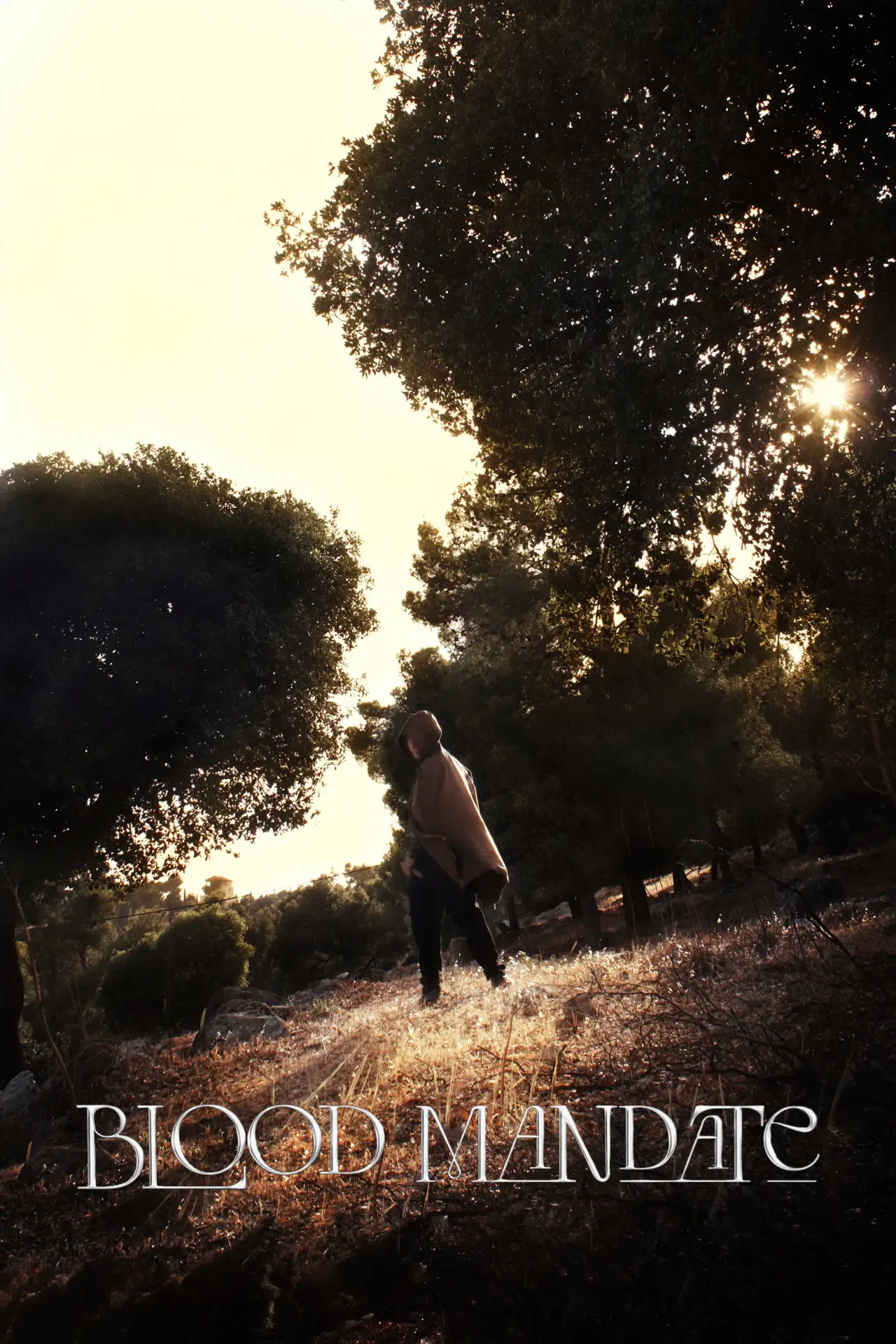 Plakat filmowy "Blood Mandate"