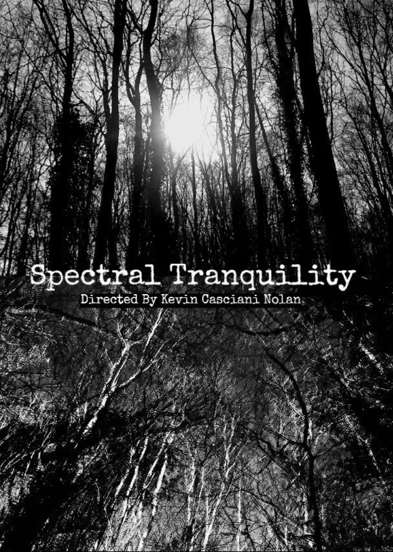 Plakat filmowy "Spectral Tranquility"