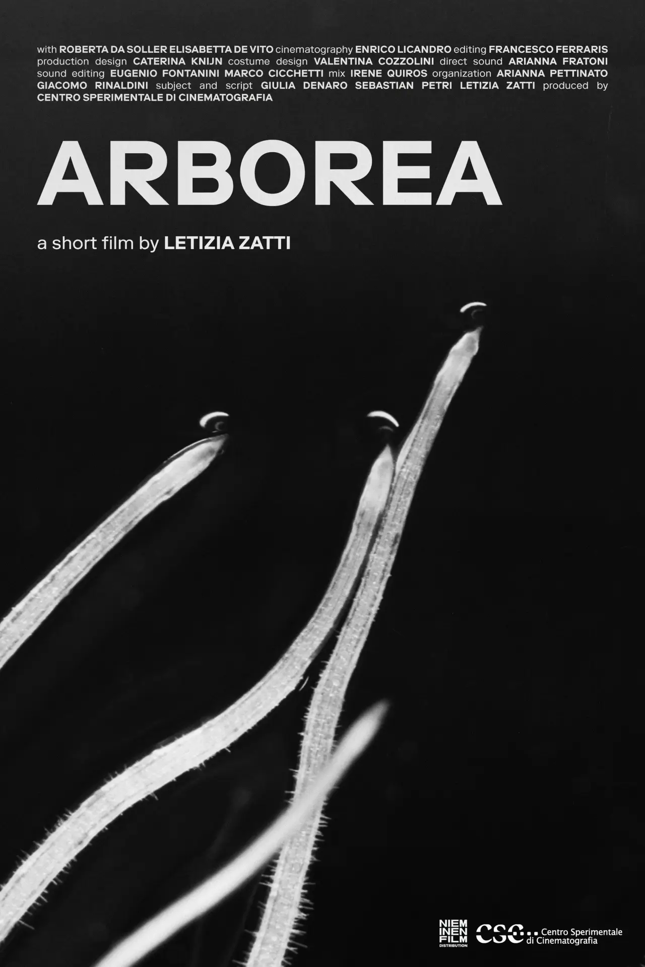 Plakat filmowy "Arborea"